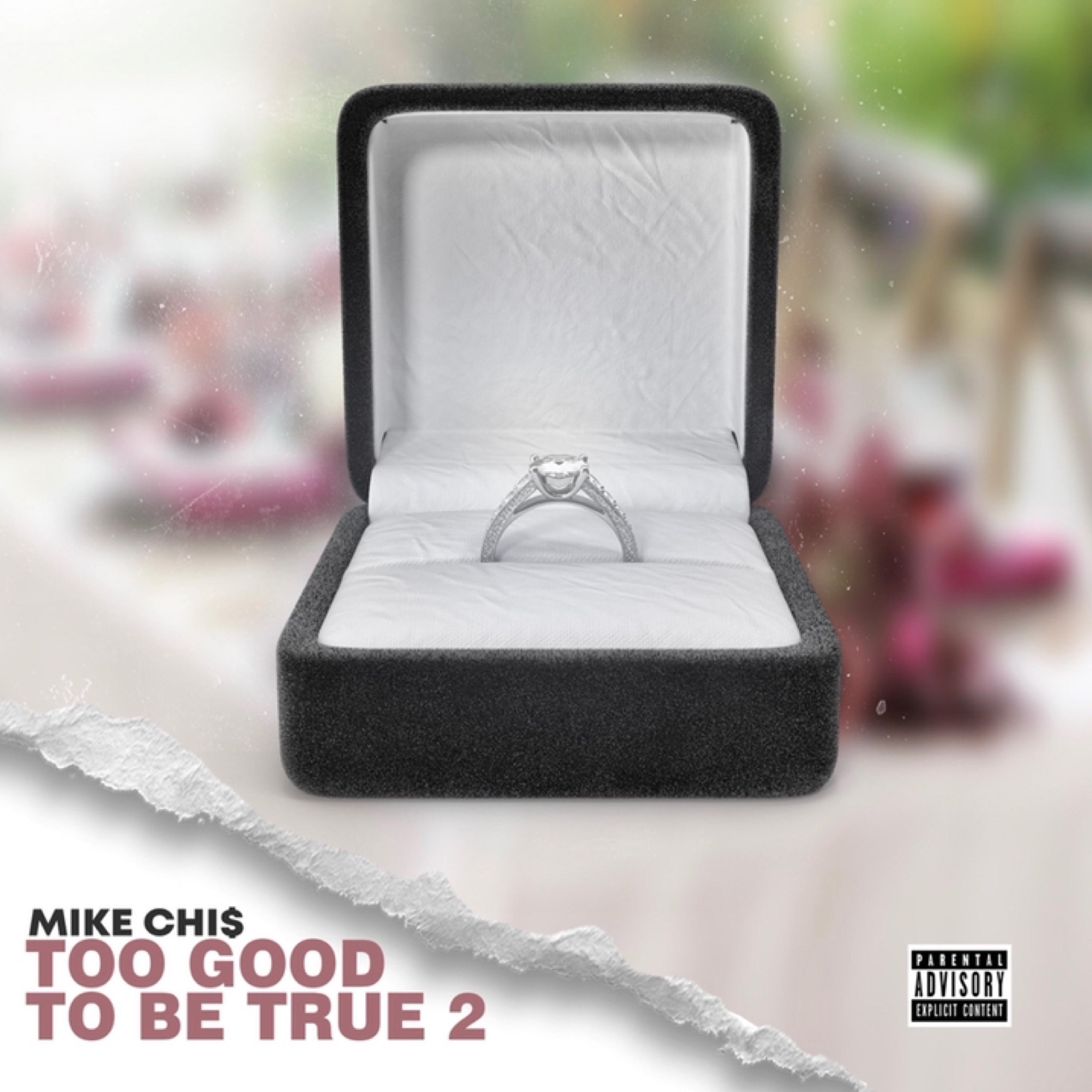 Too Good To Be True 2 by Mike Chi$ cover art