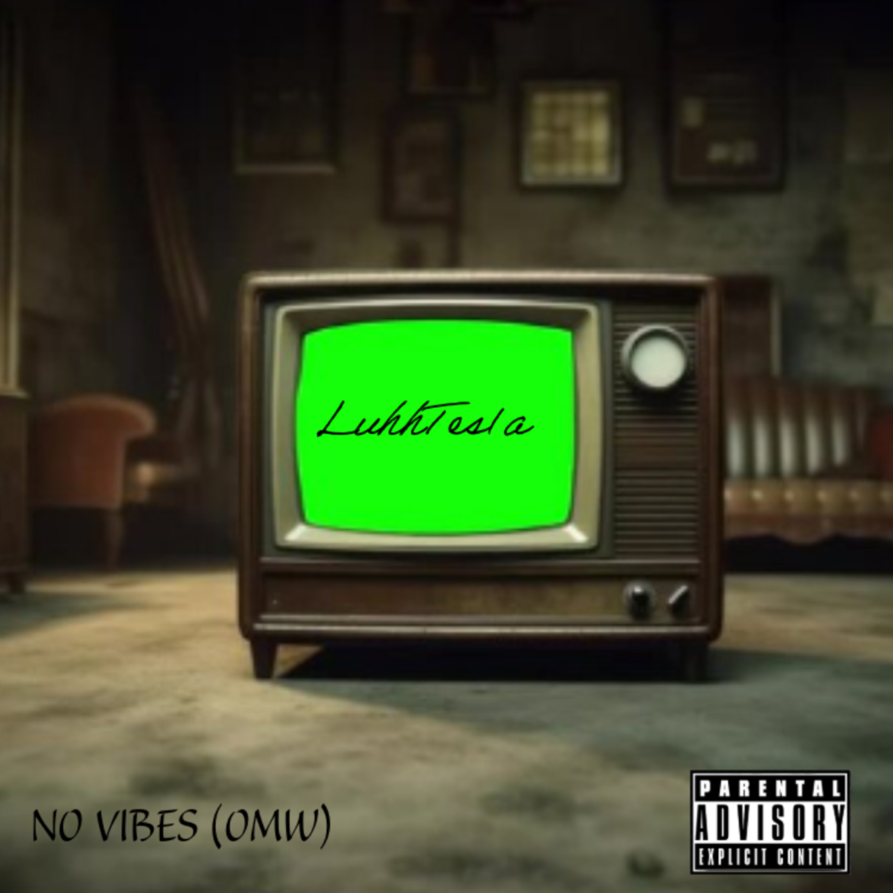 NO VIBES (OMW) artwork