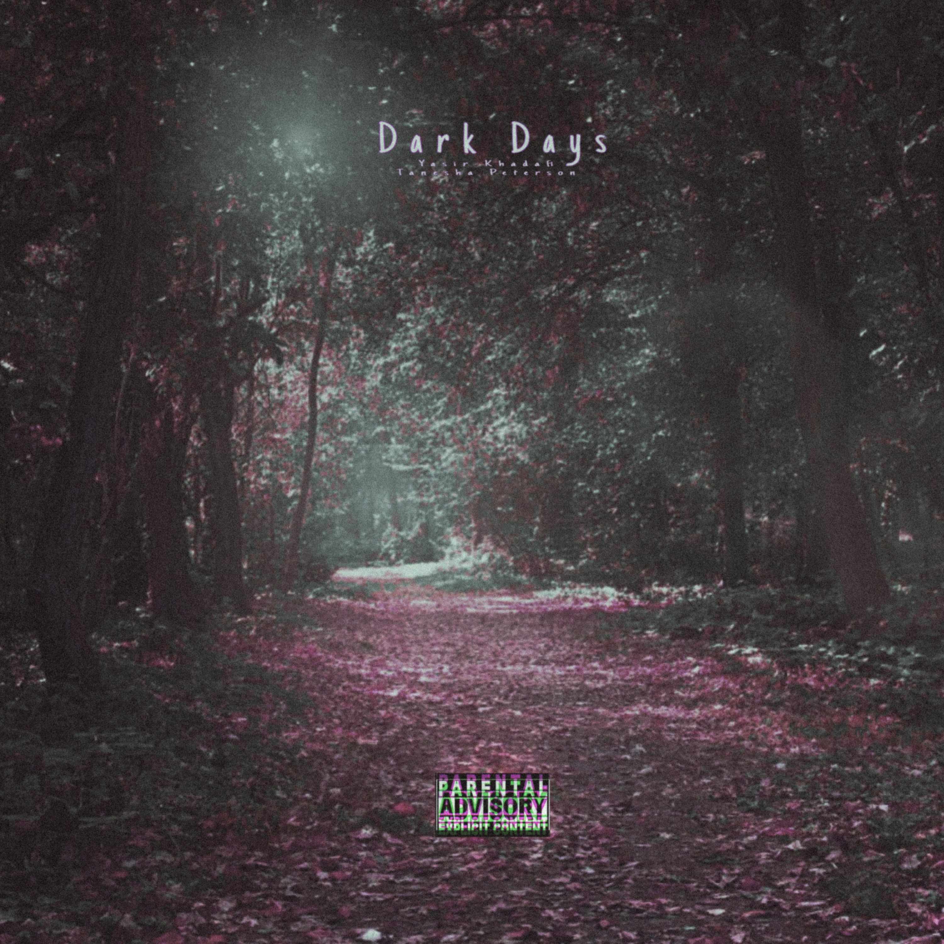 Dark Days artwork