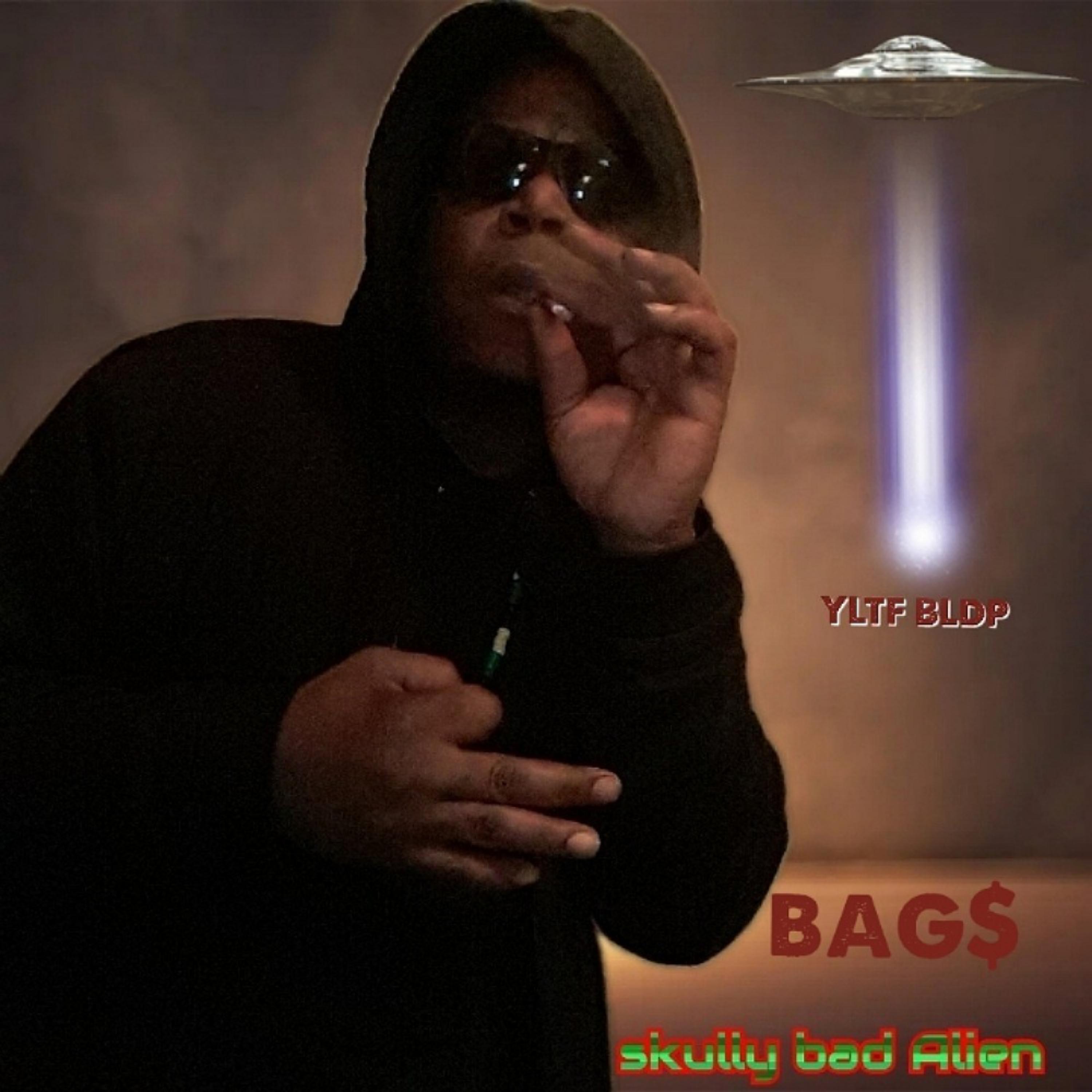Bag$ artwork
