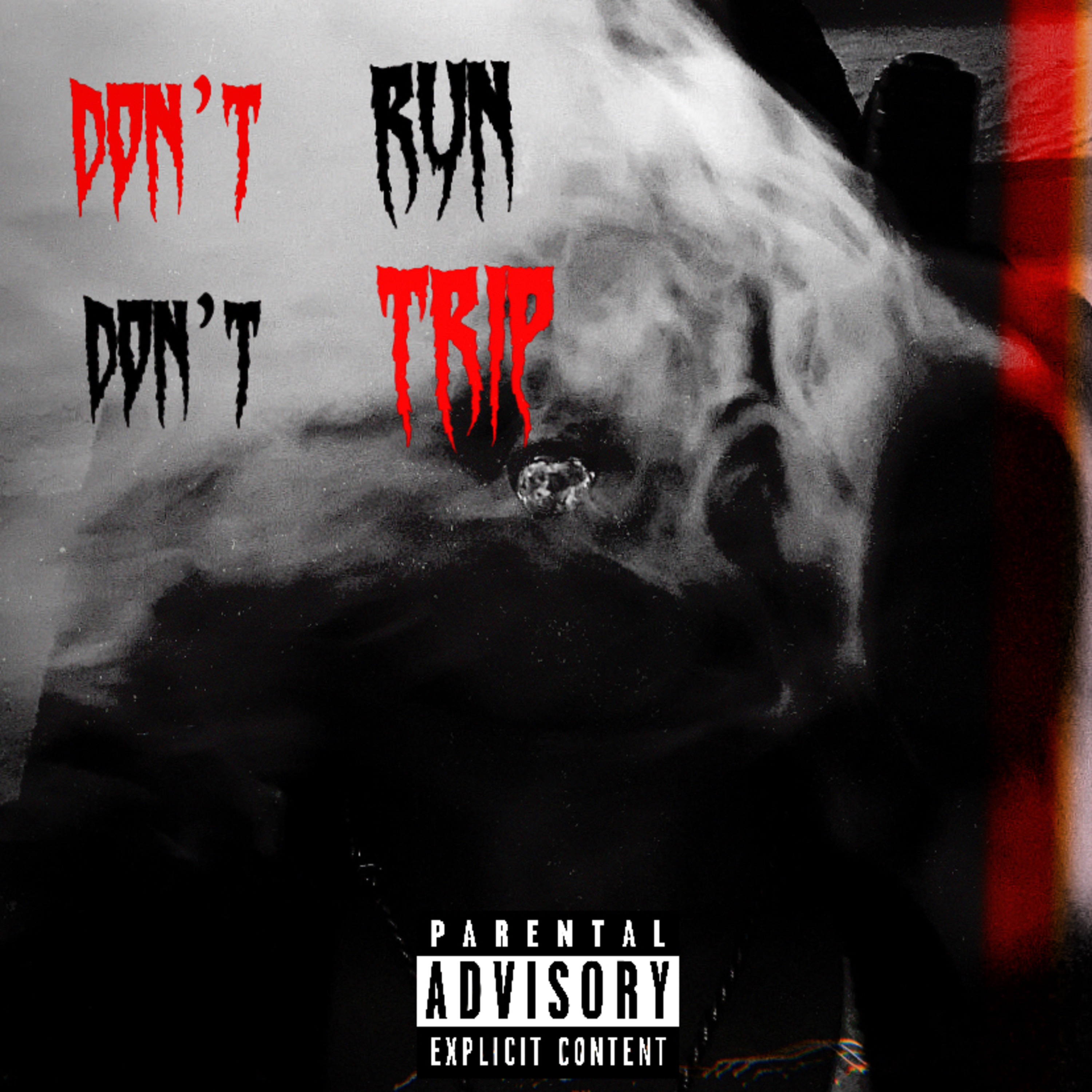 Don’t Run Don’t Trip artwork