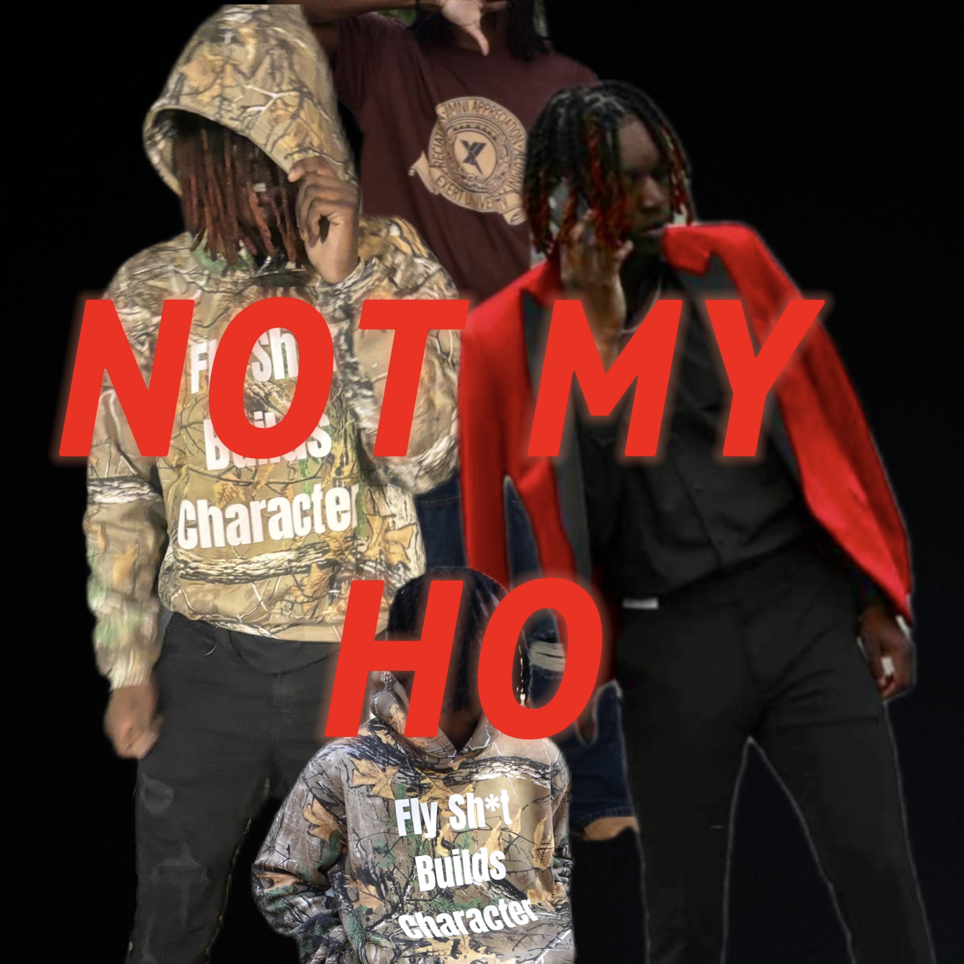 NOT MY HO artwork