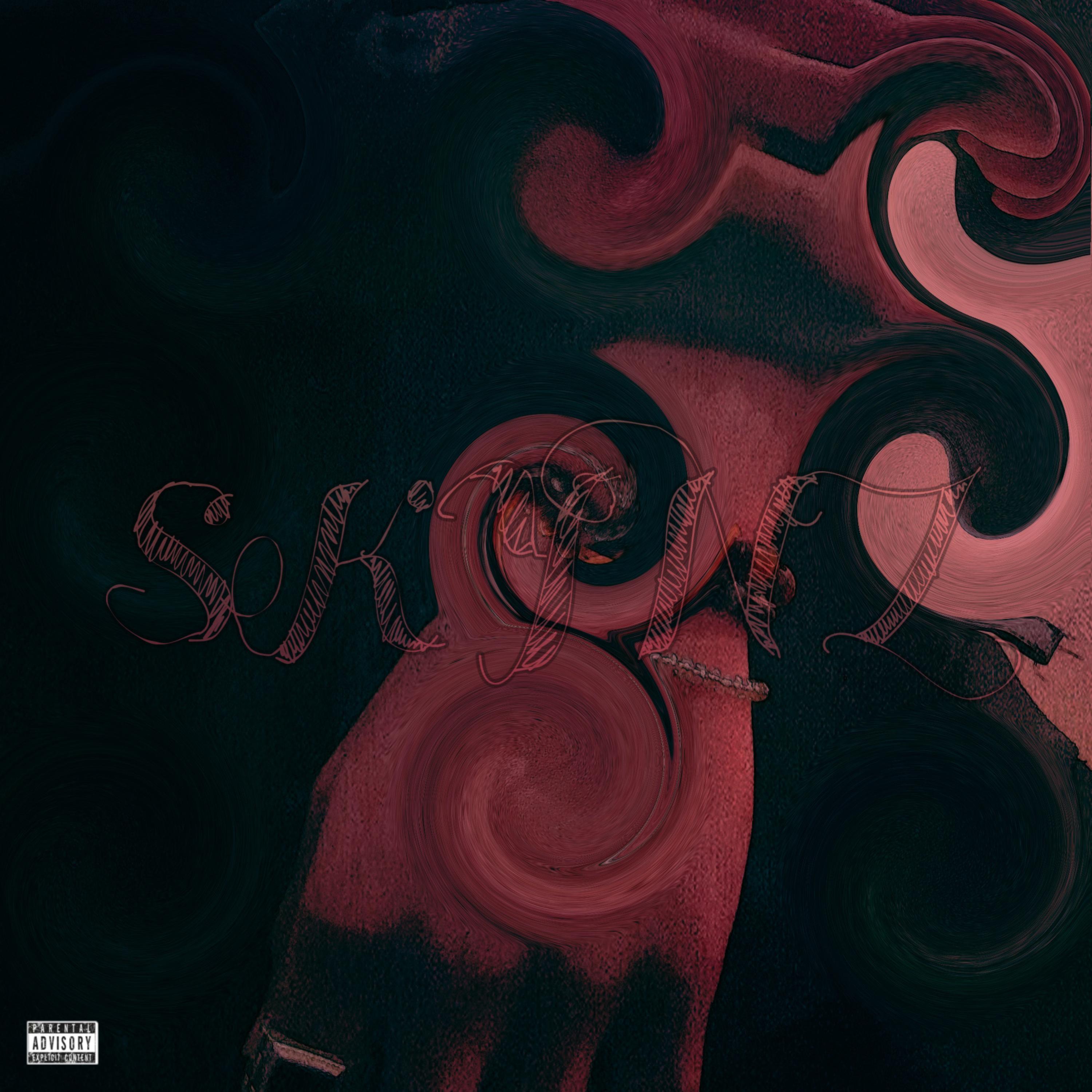 Skynz artwork