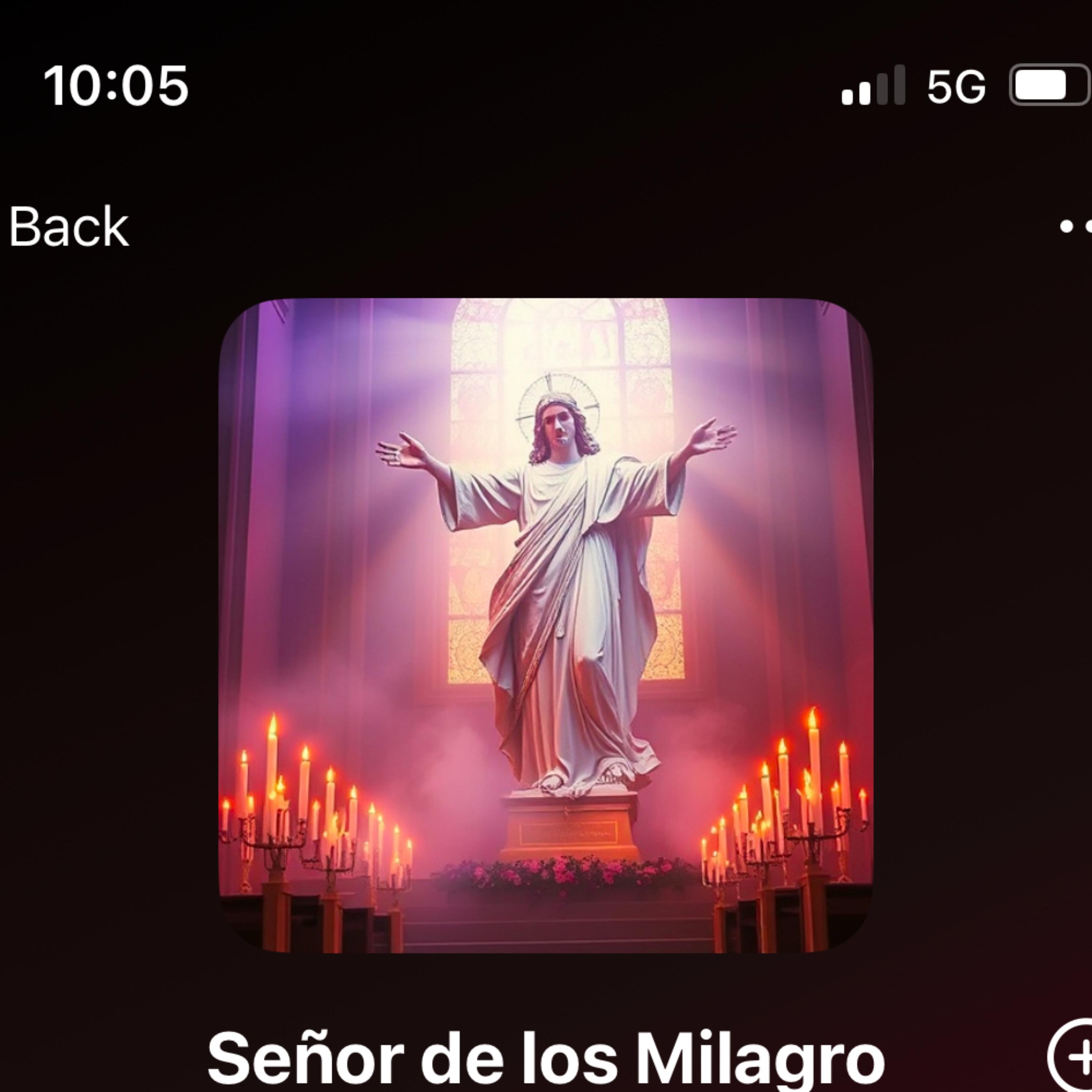 Senor De Los Milagros. artwork