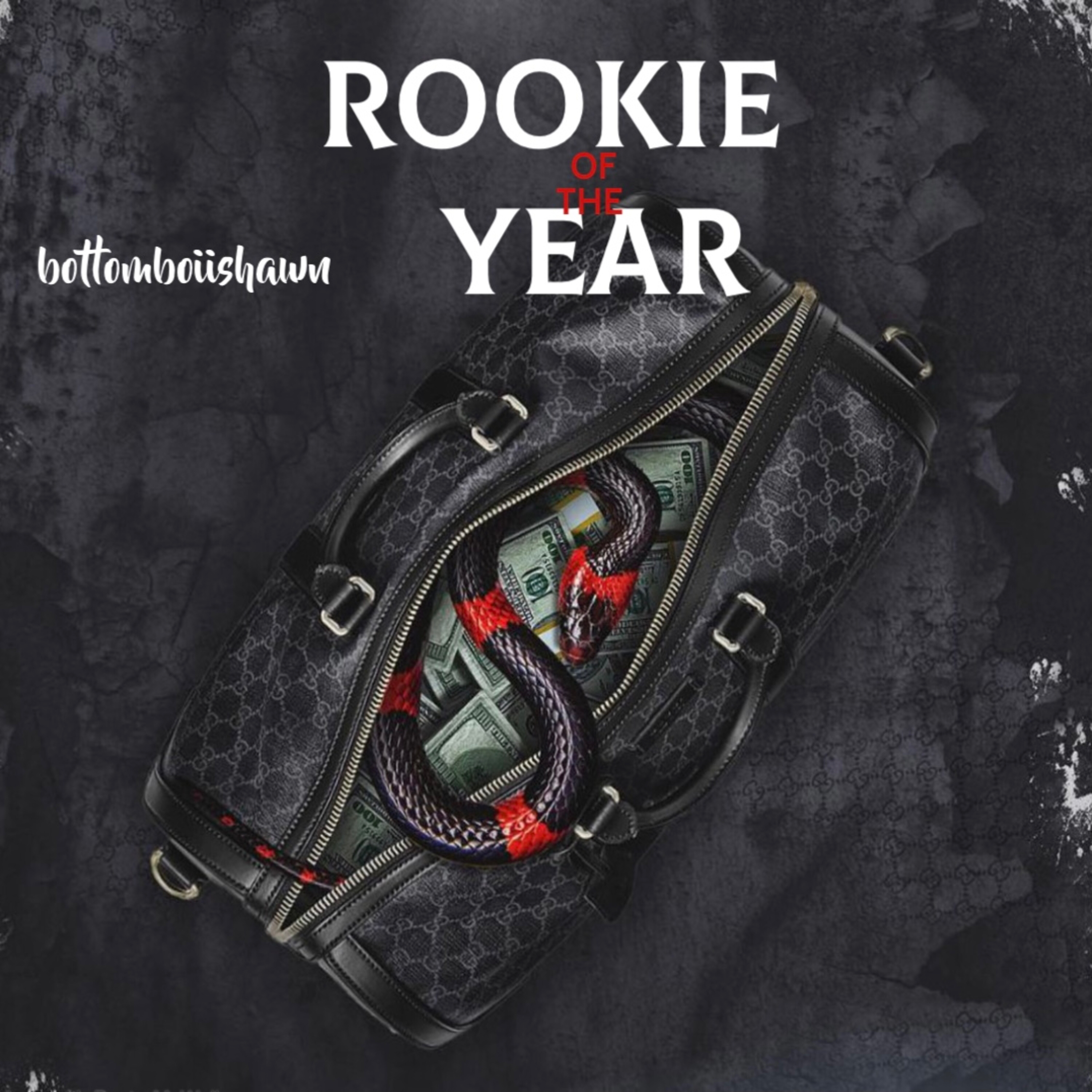 Rookie Of The Year artwork