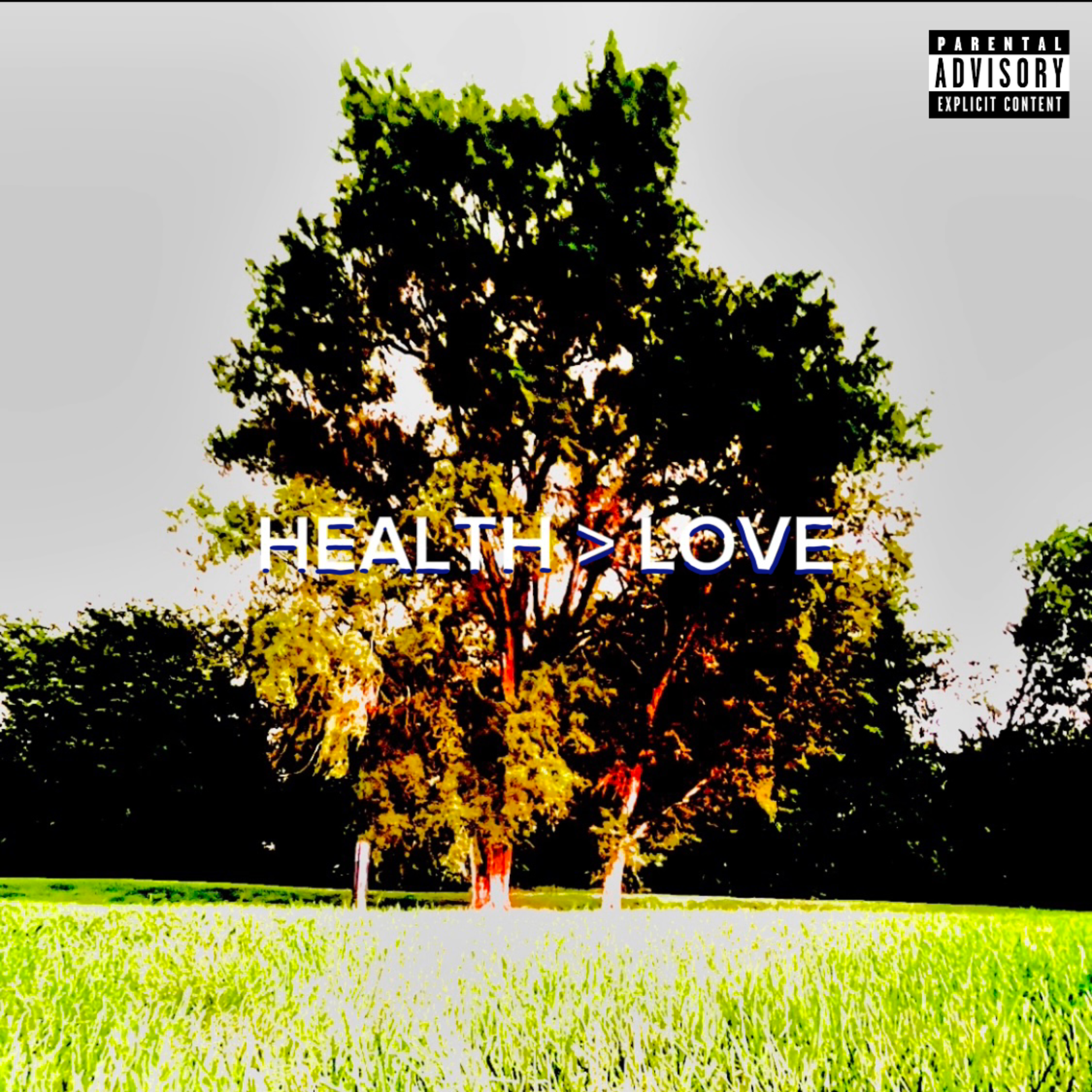 HEALTH > LOVE artwork