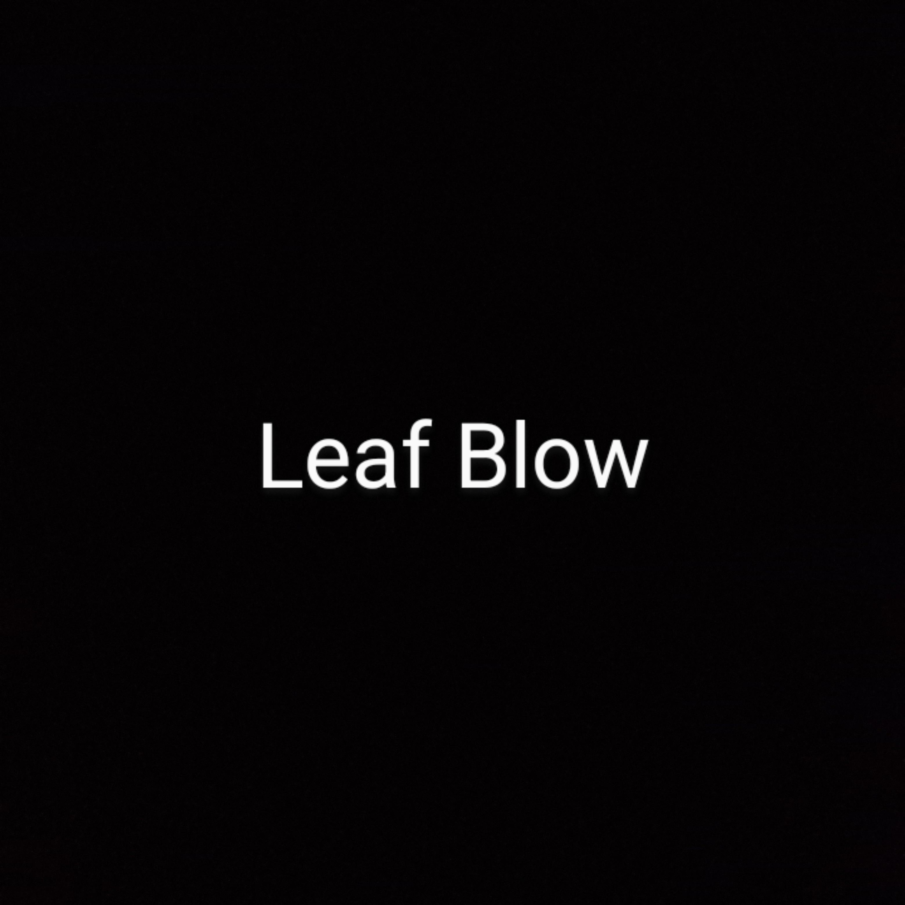 Leaf Blow artwork