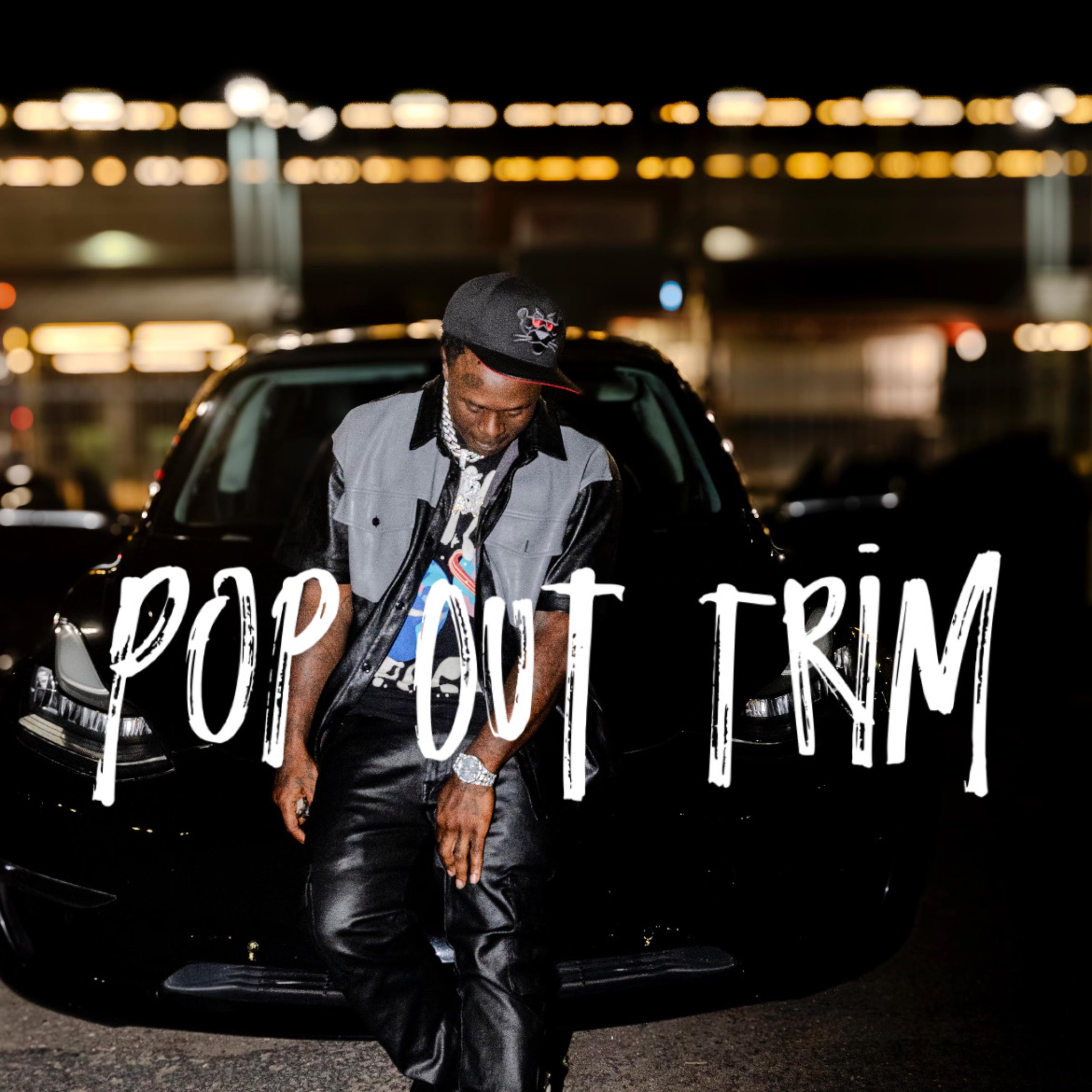 Pop Out Trim artwork