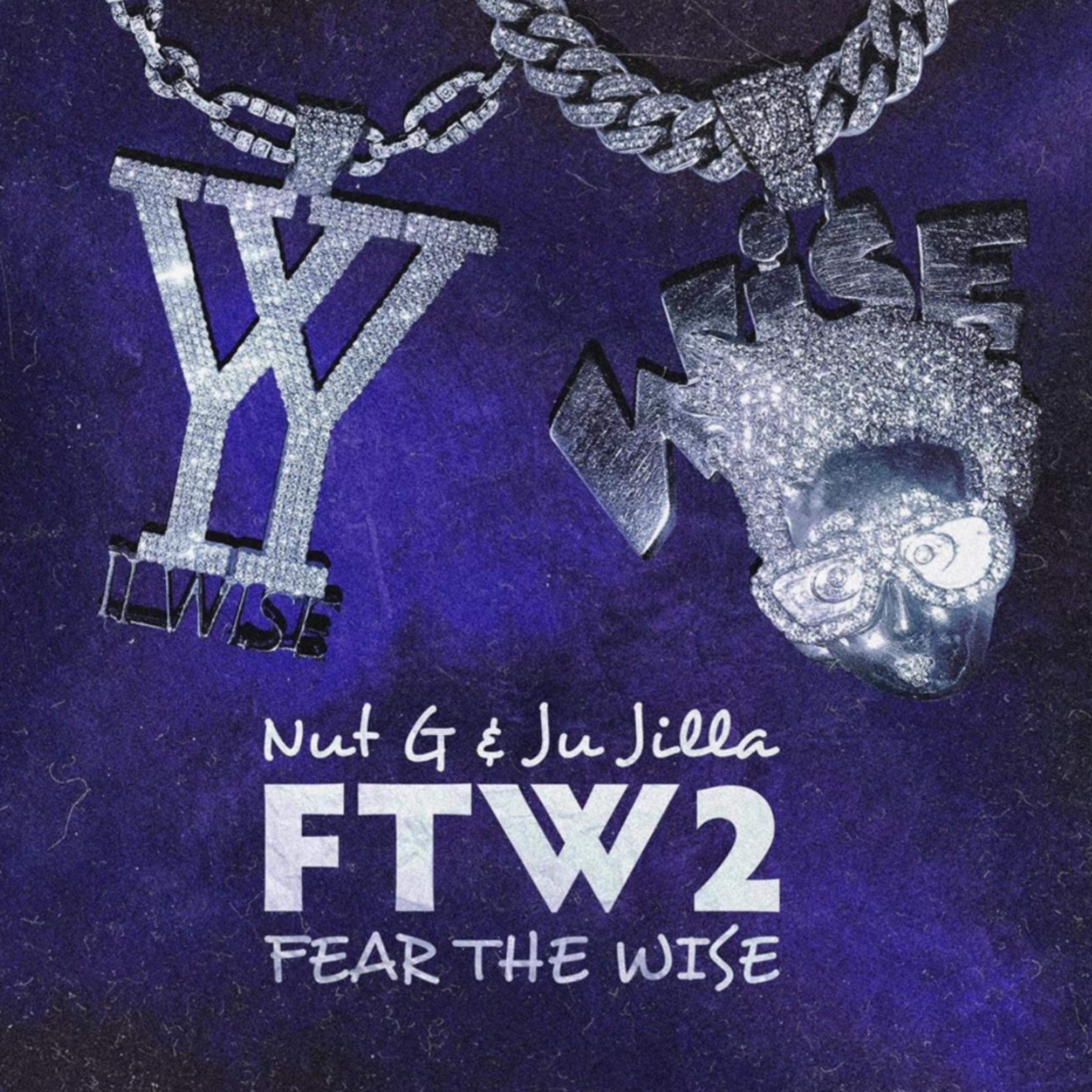 Fear The Wise 2 artwork