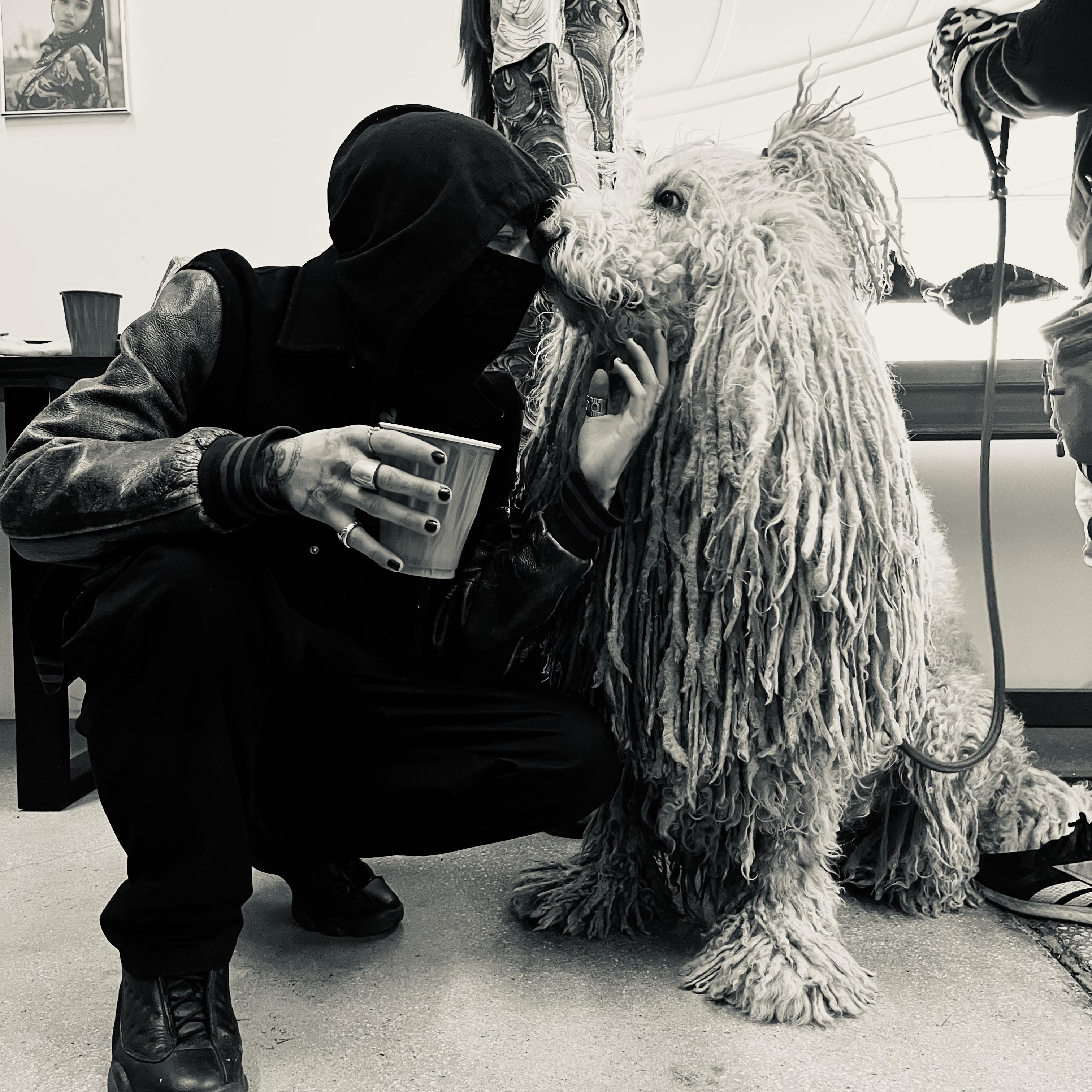THE MOP artwork