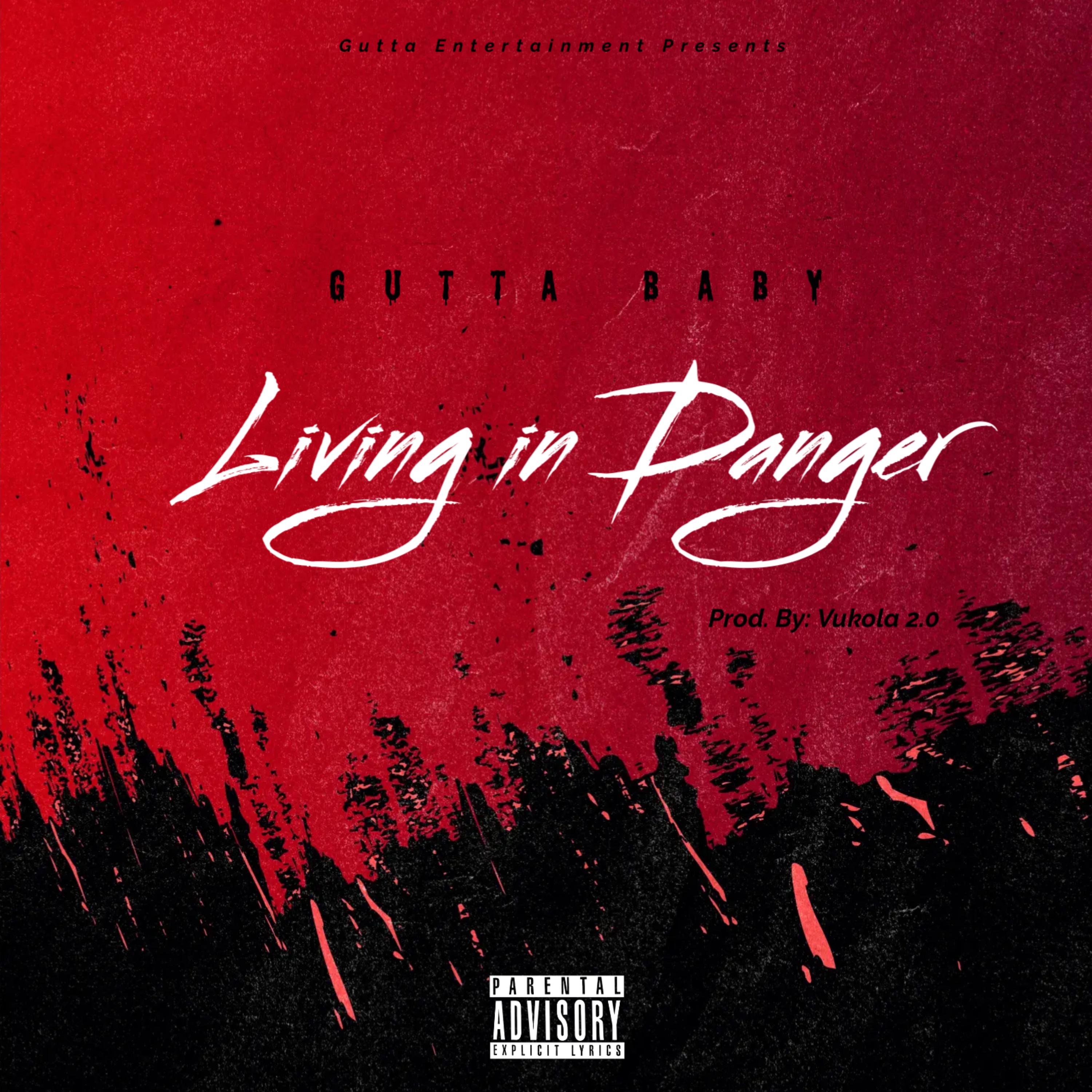 Living In Danger artwork