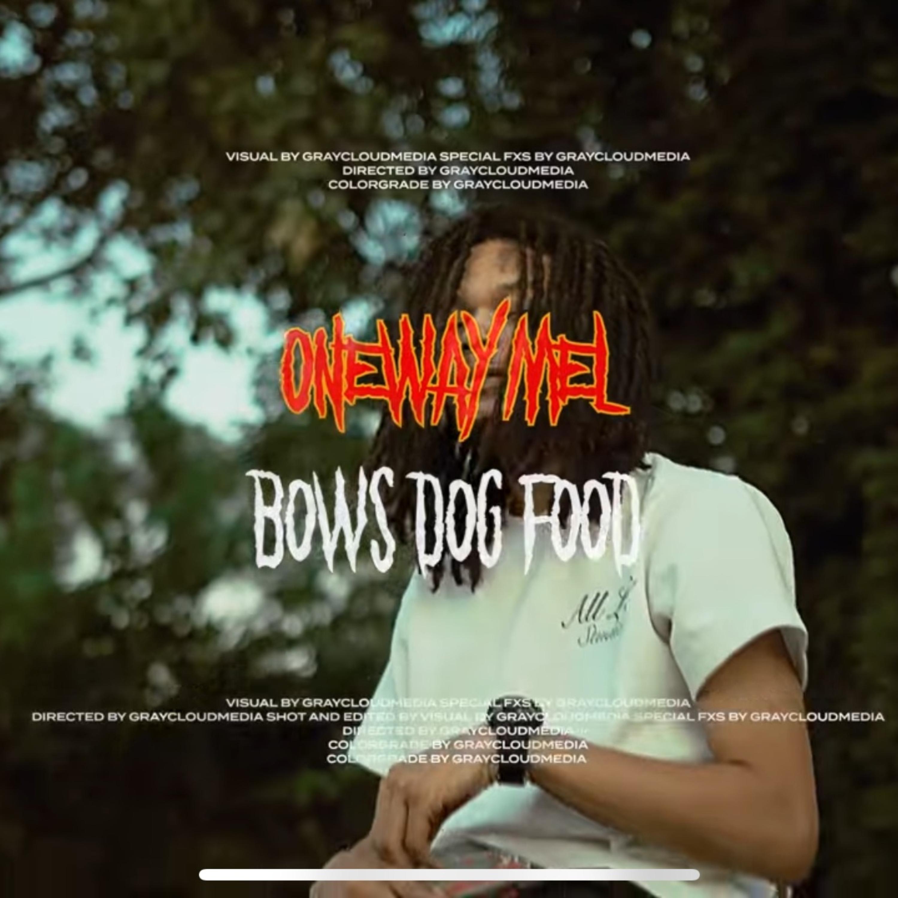 Bow’s & Dog food artwork