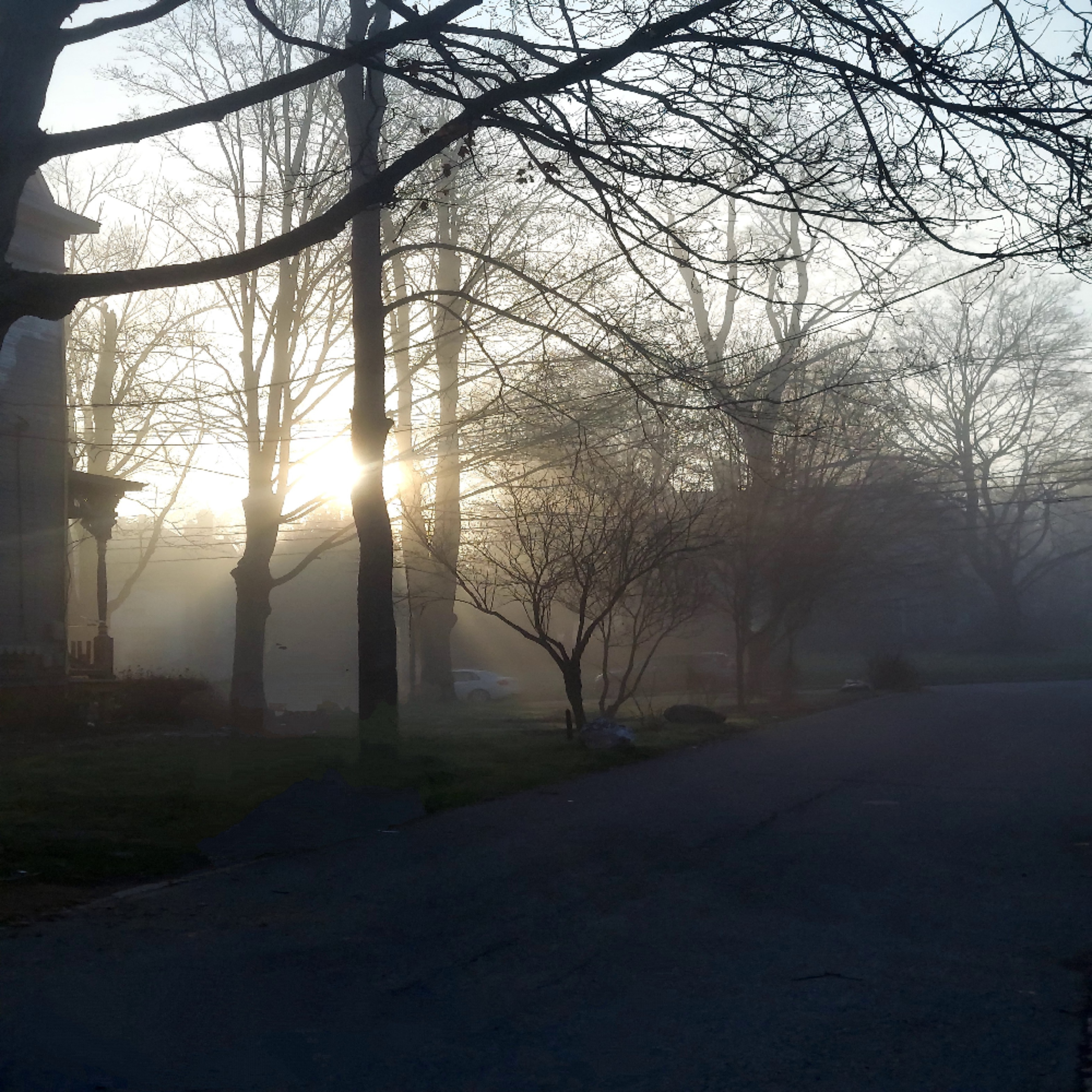 From Shadows to Sunlight artwork