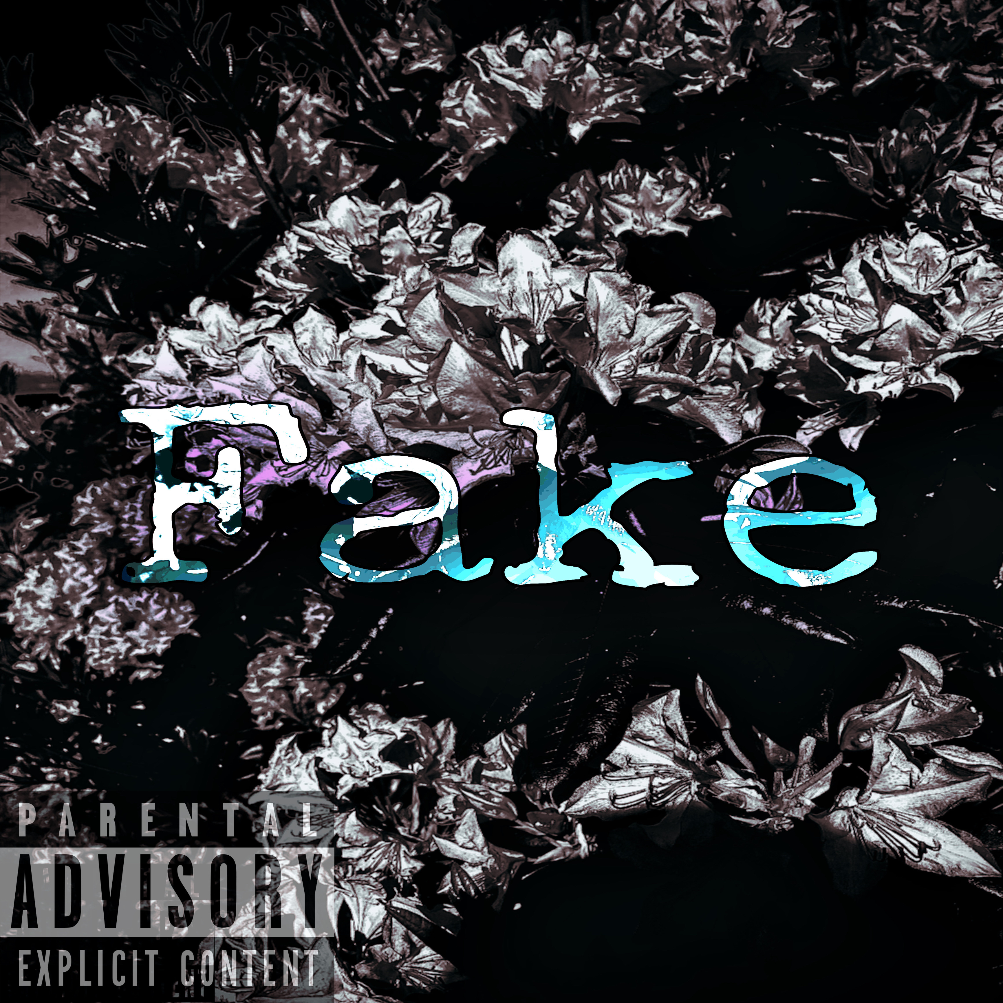 Fake by Ian Finesse cover art