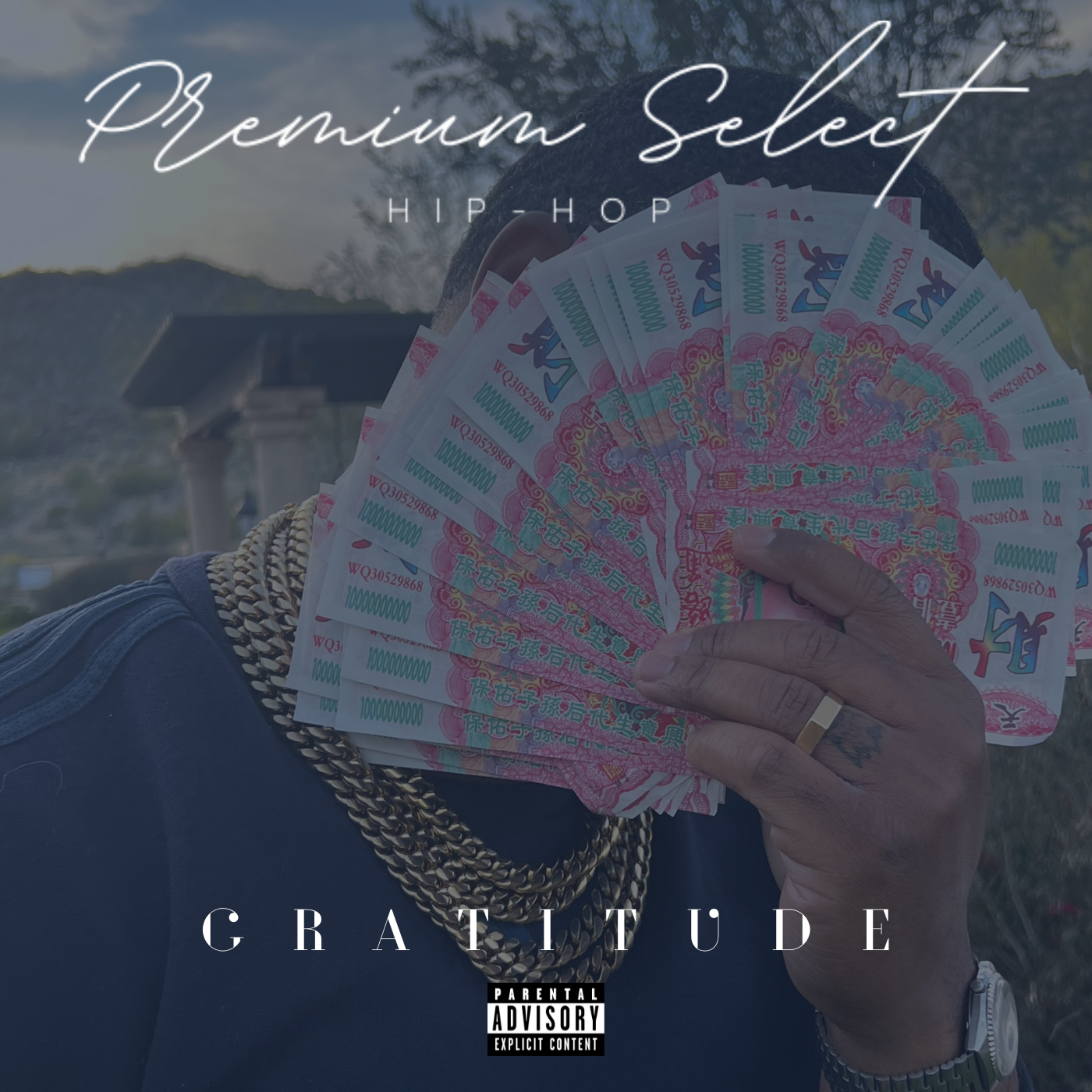 Gratitude by P8tience cover art