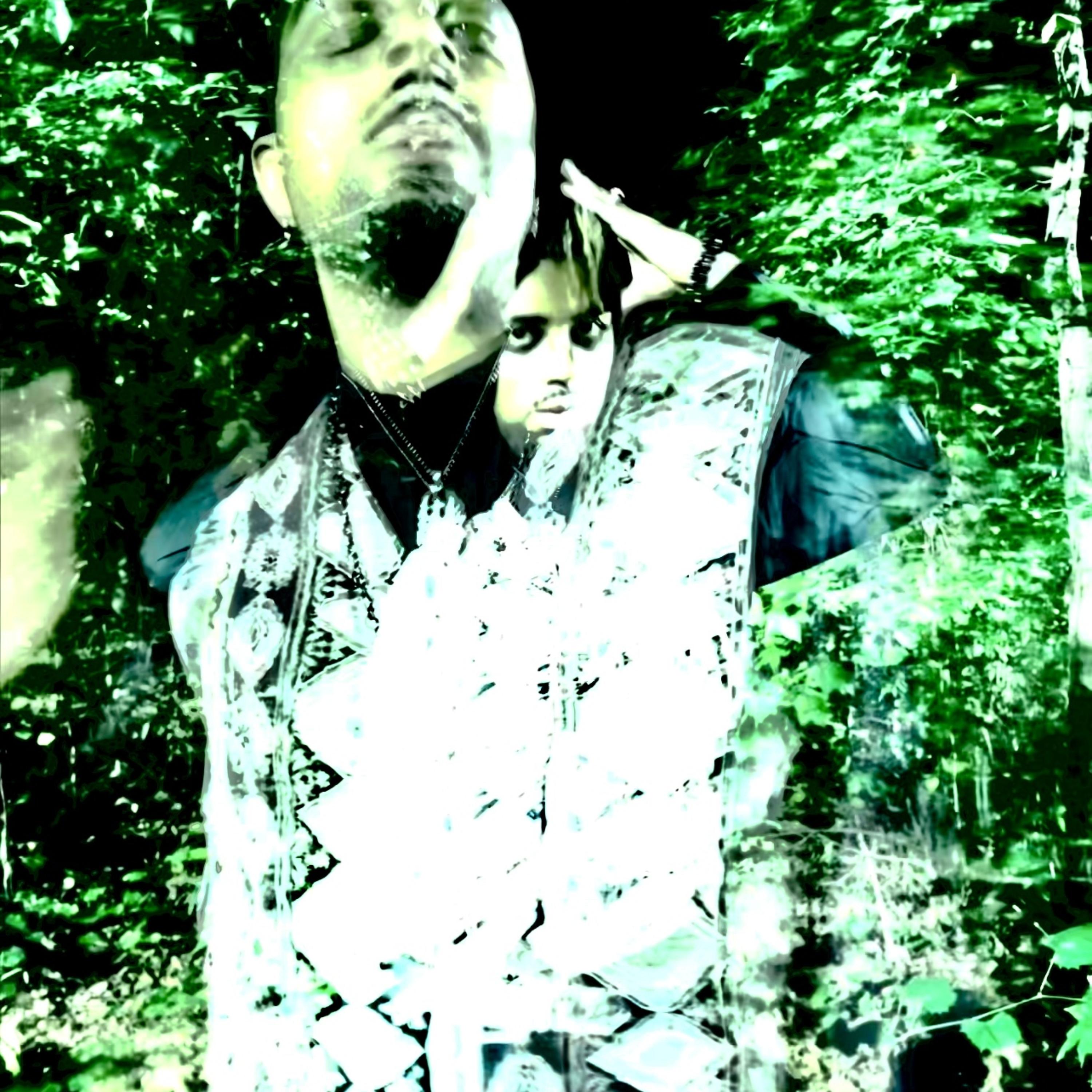 Into The Dark Forest Entry artwork