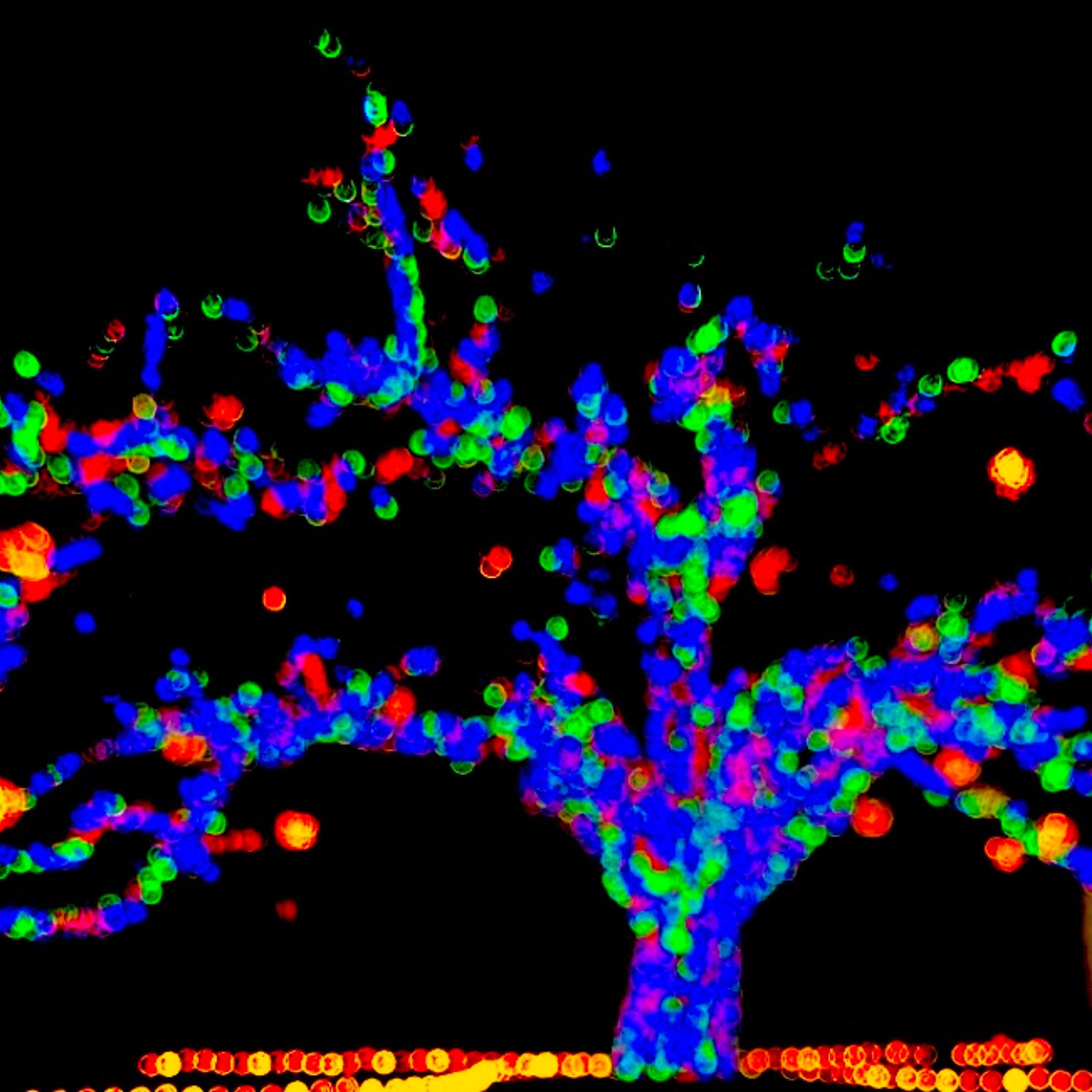 Affordable information artwork