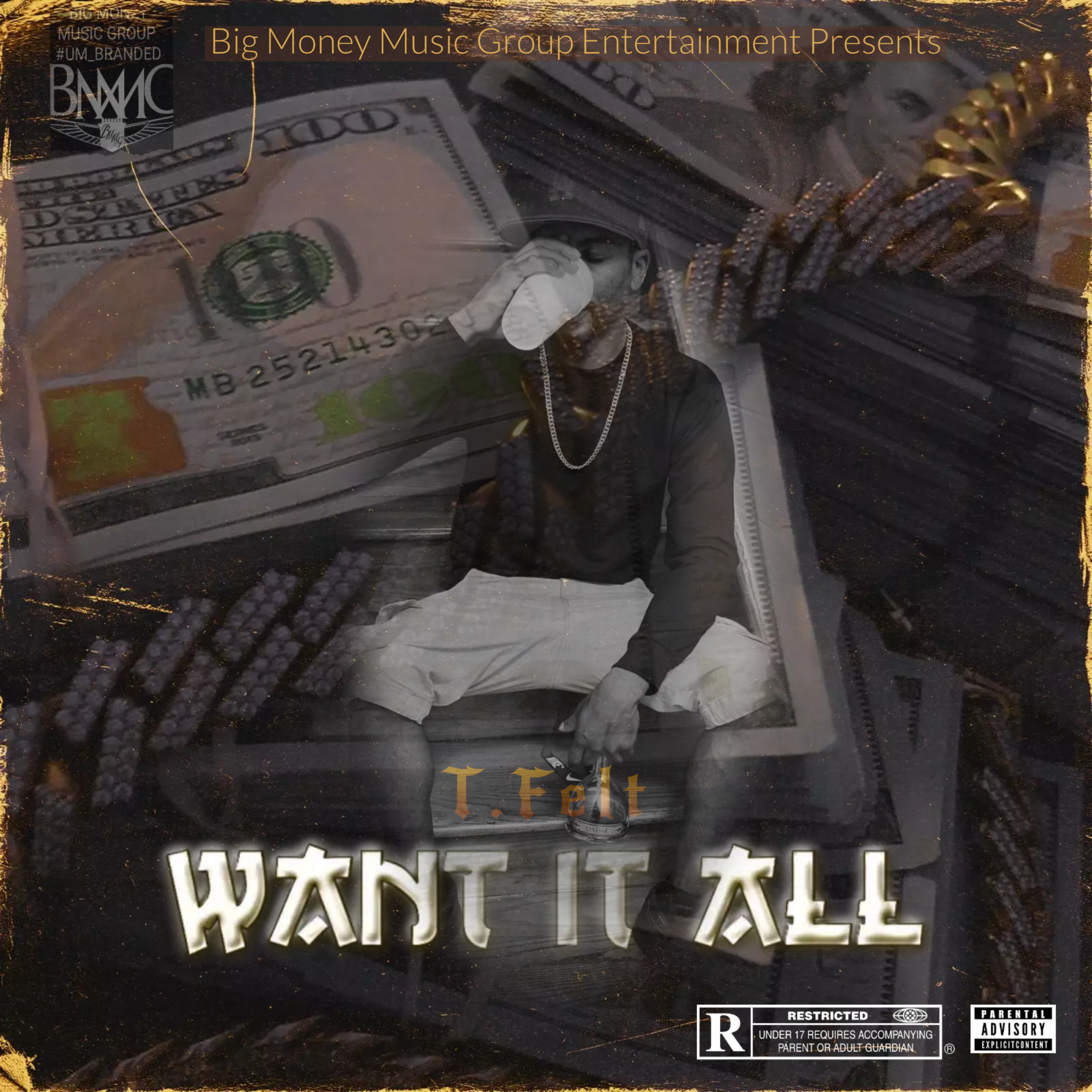 Want It All by T.Felt cover art
