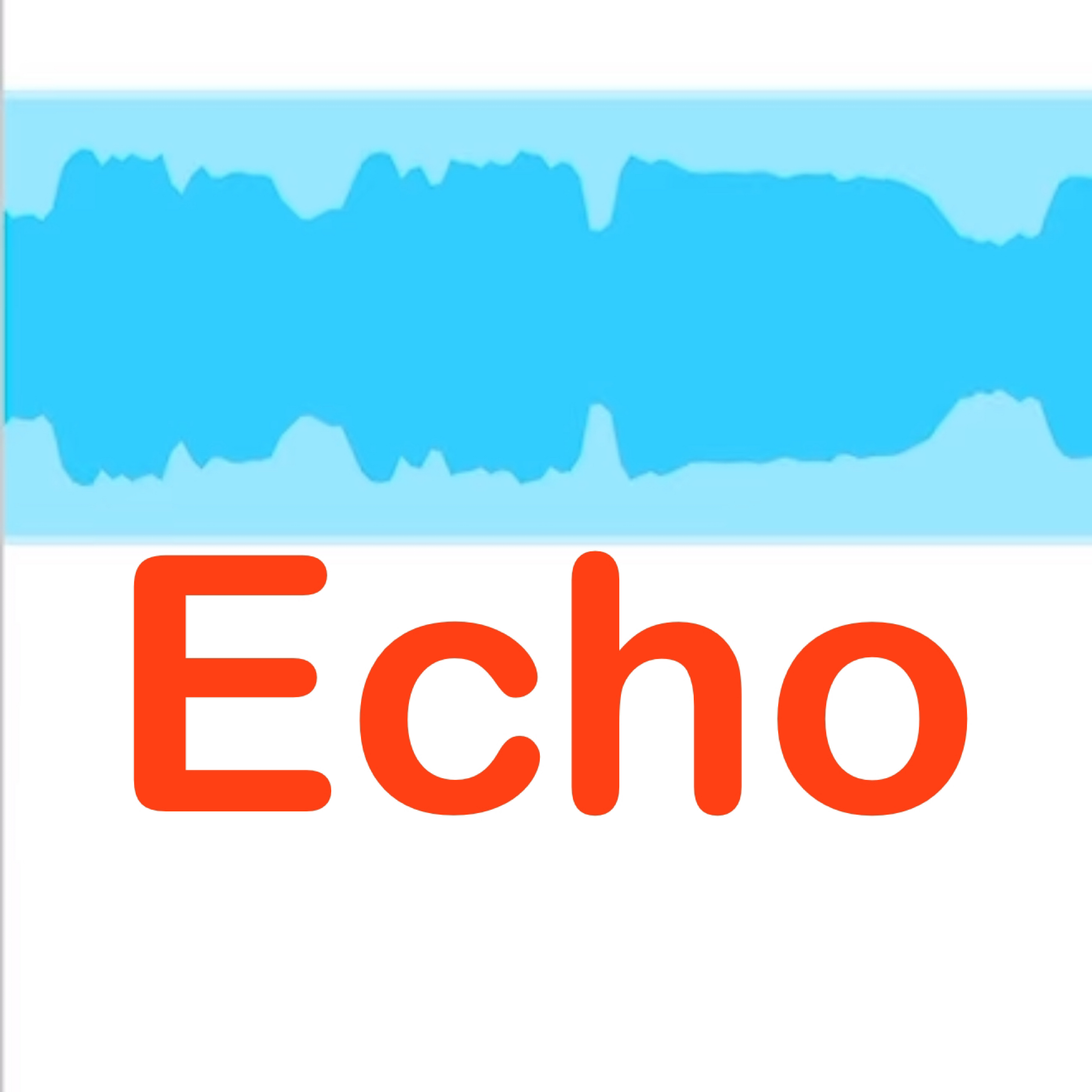 Echo artwork