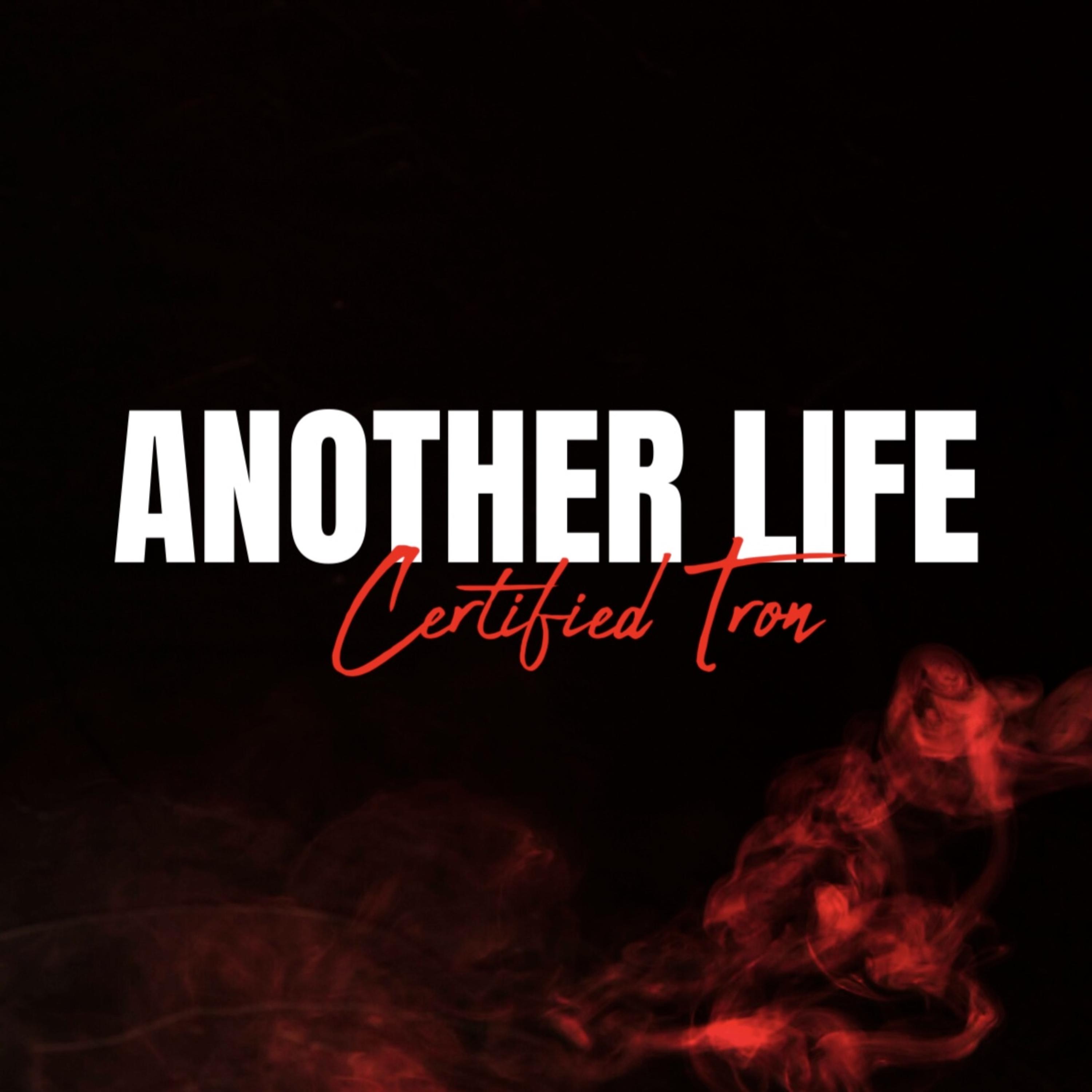 Another Life artwork