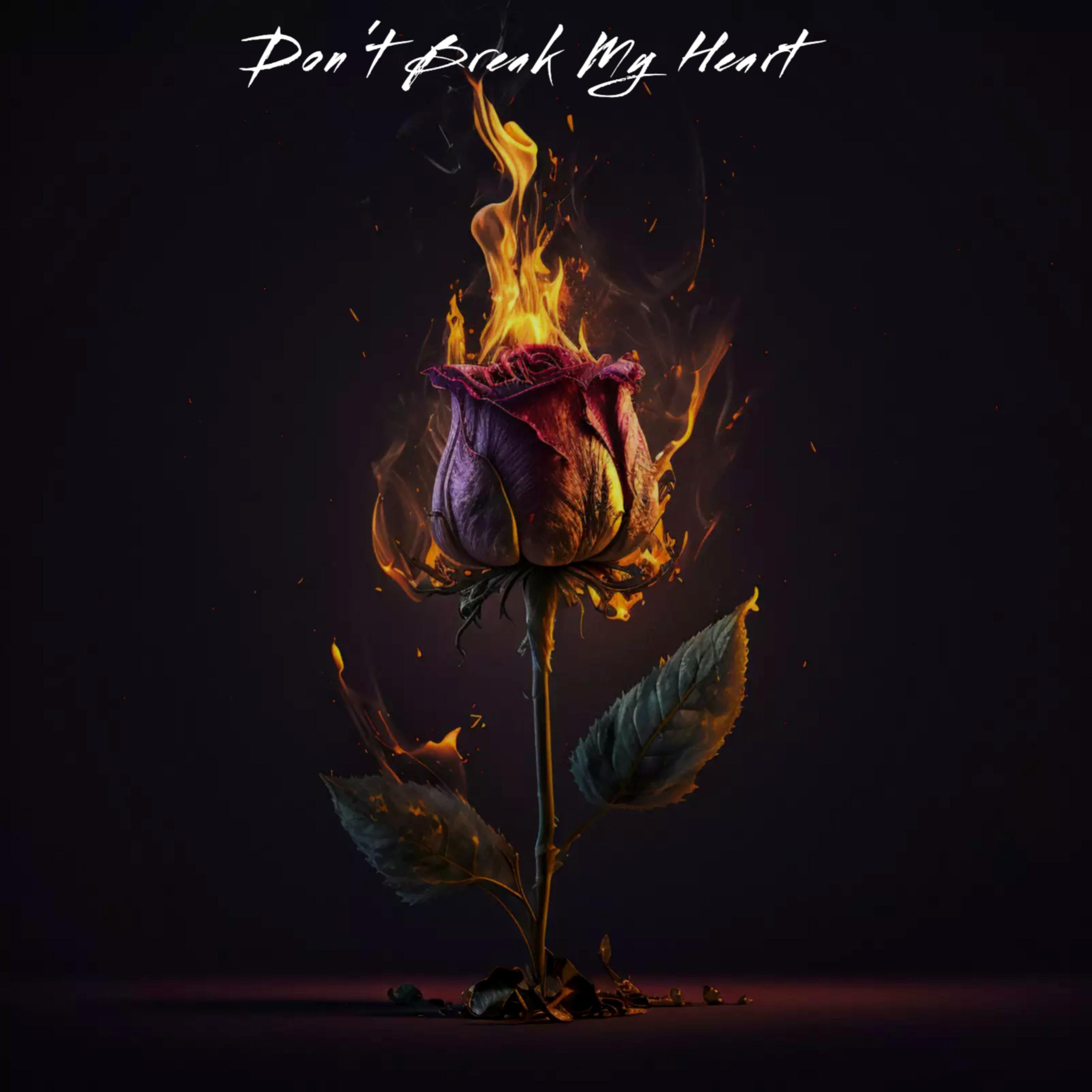 Dont Break My Heart artwork