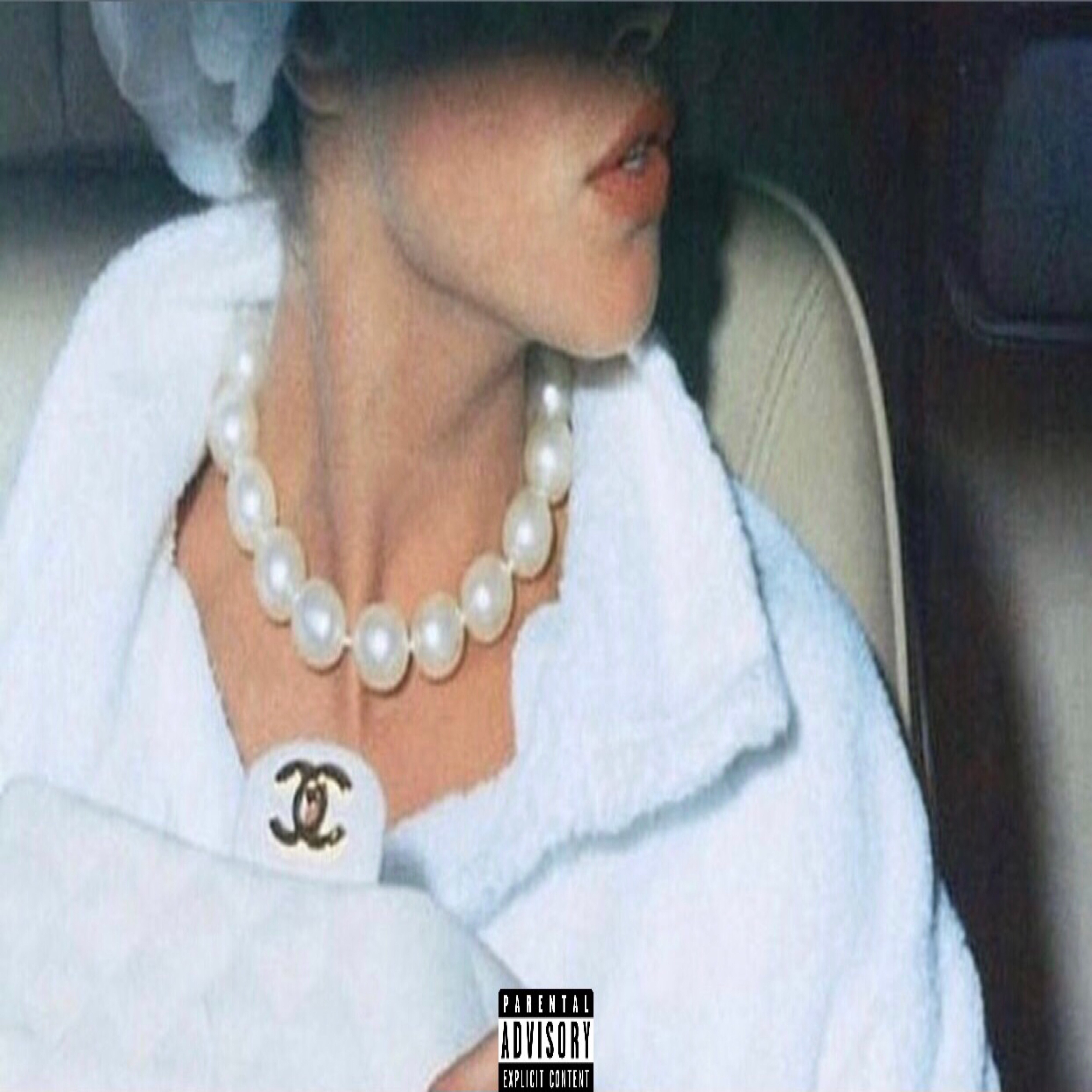 Chanel Carousel artwork
