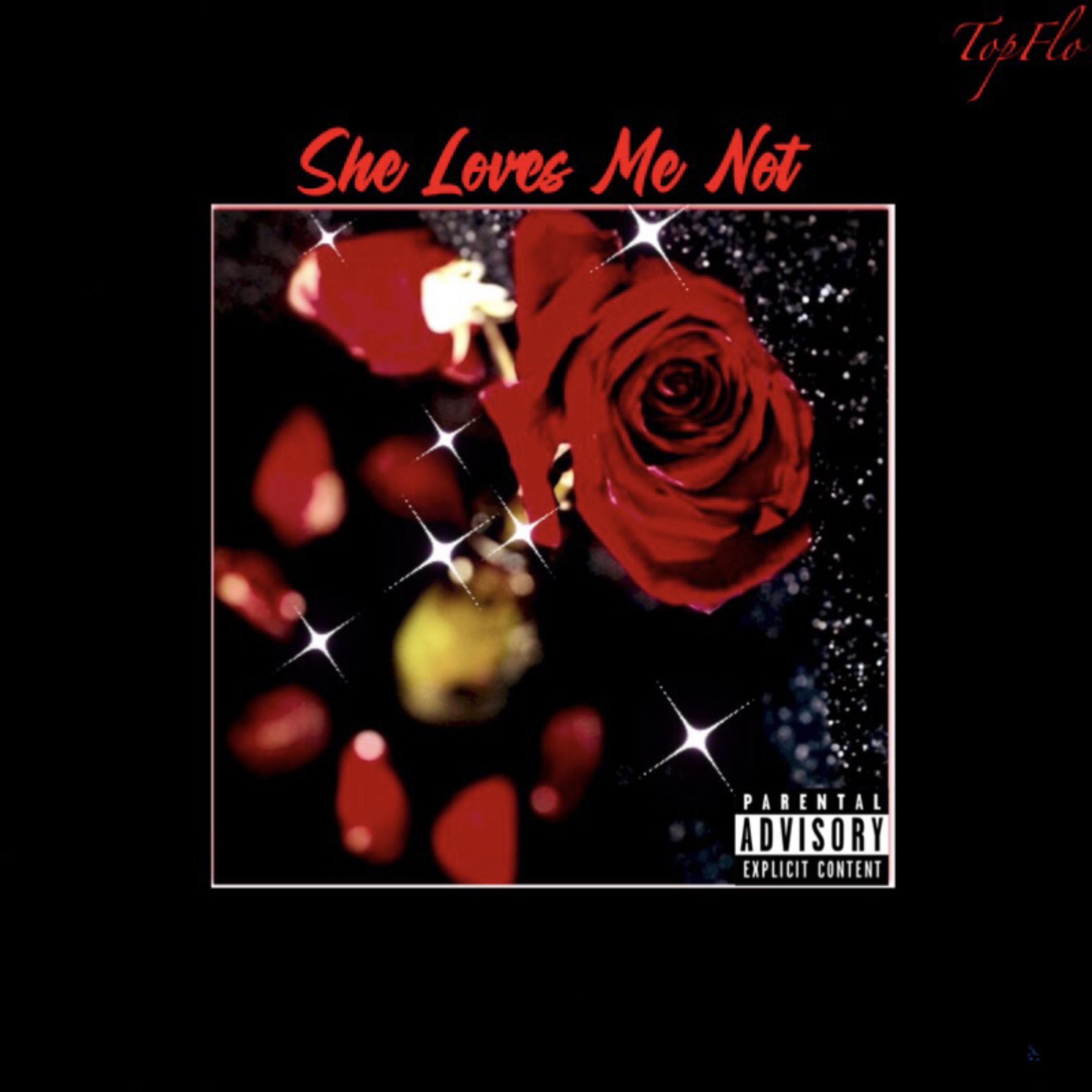 She Loves Me Not by FungShuiPratrickSwayze  cover art