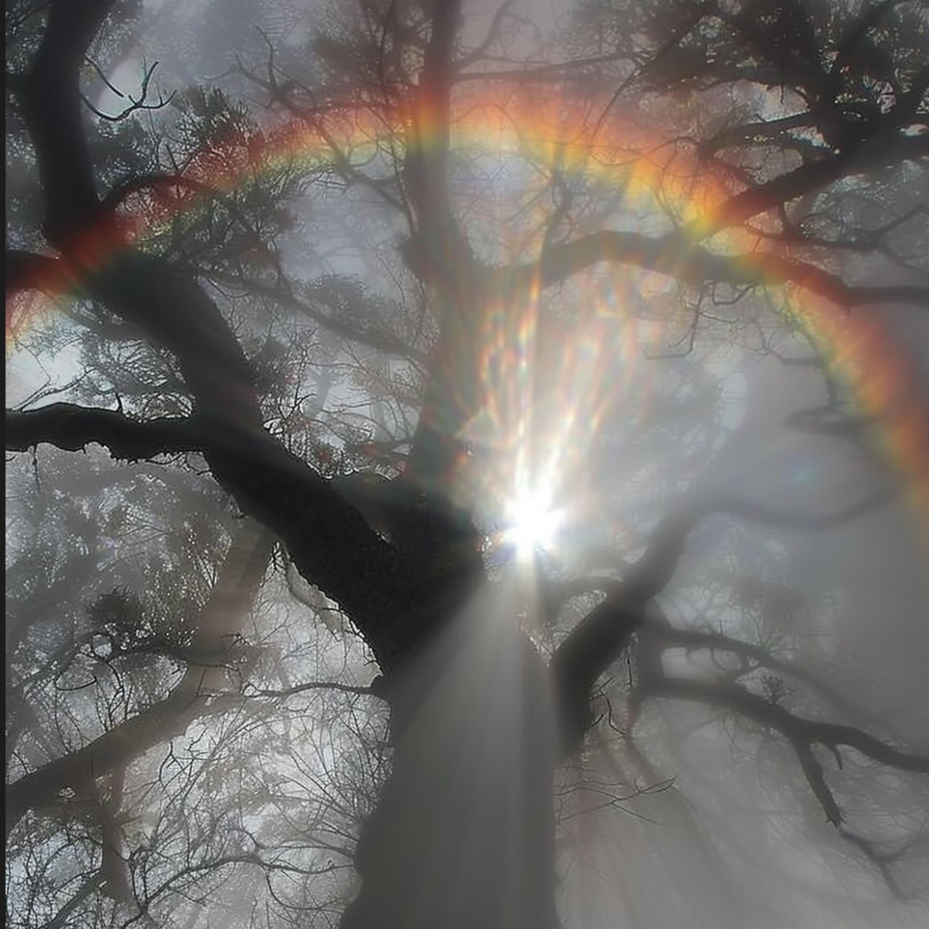 Rainbow artwork