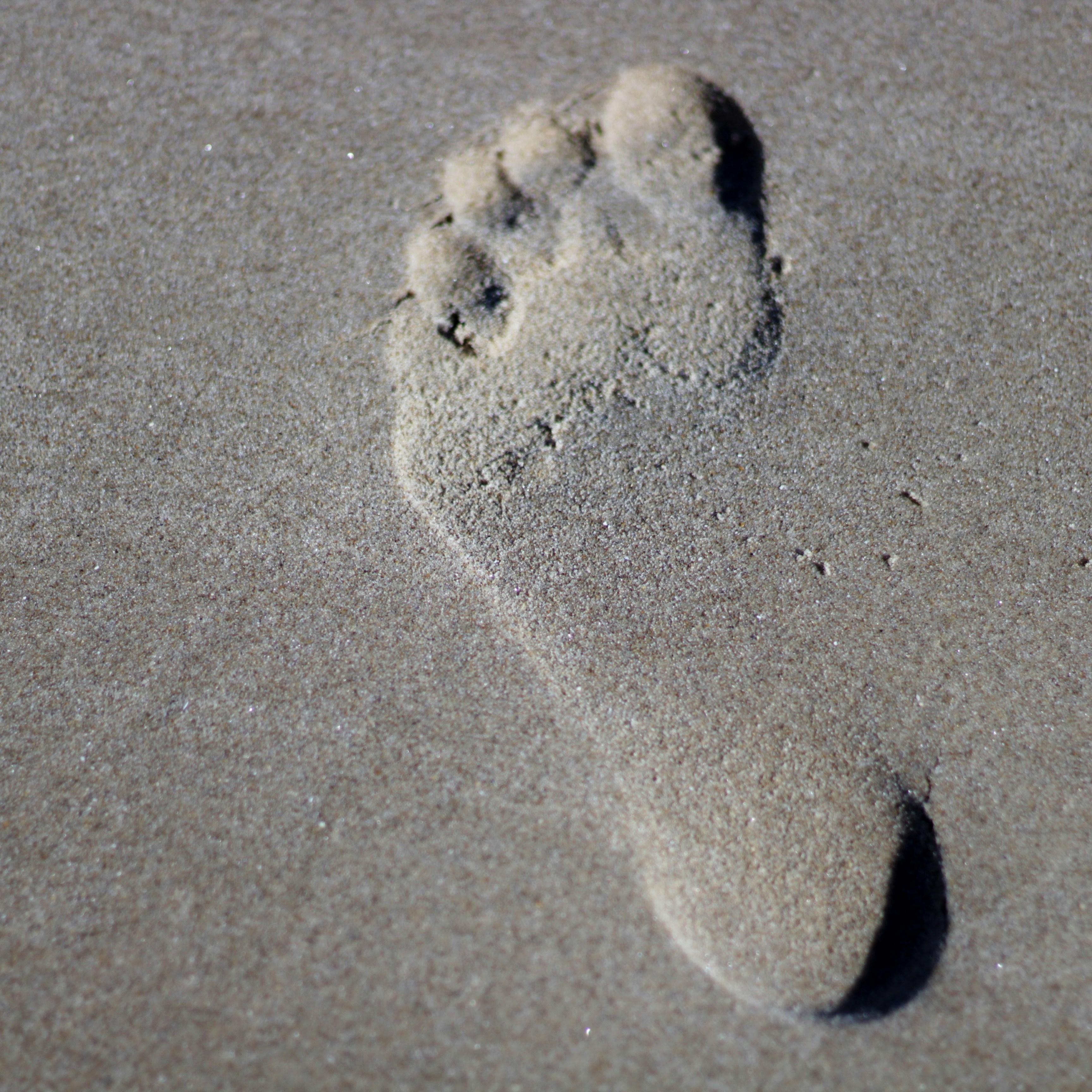 It's Just Takes Two Steps artwork