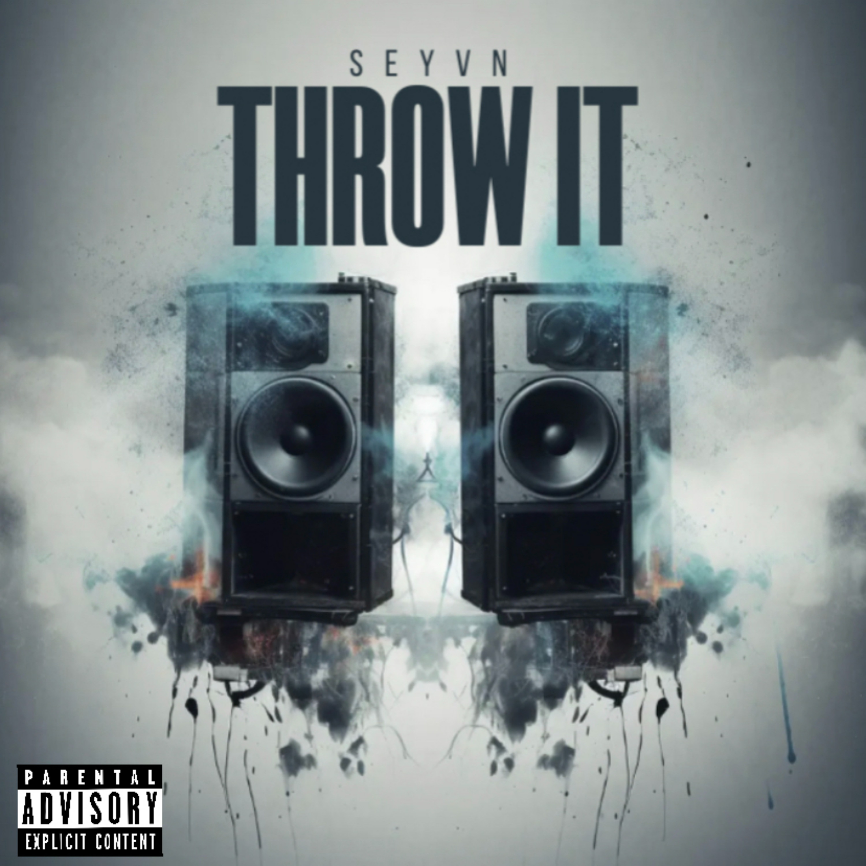 THROW IT artwork