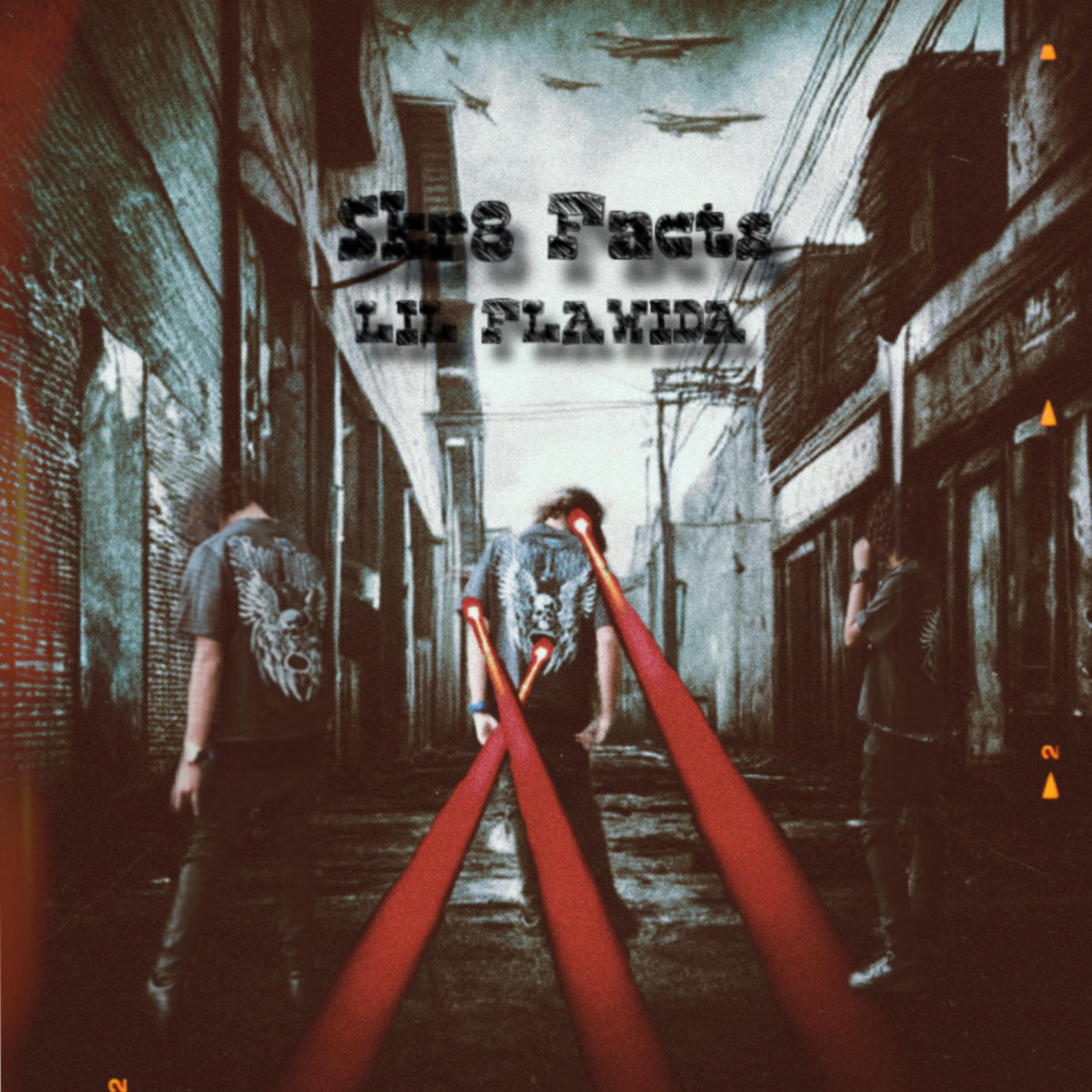 SKR8 FACTS artwork
