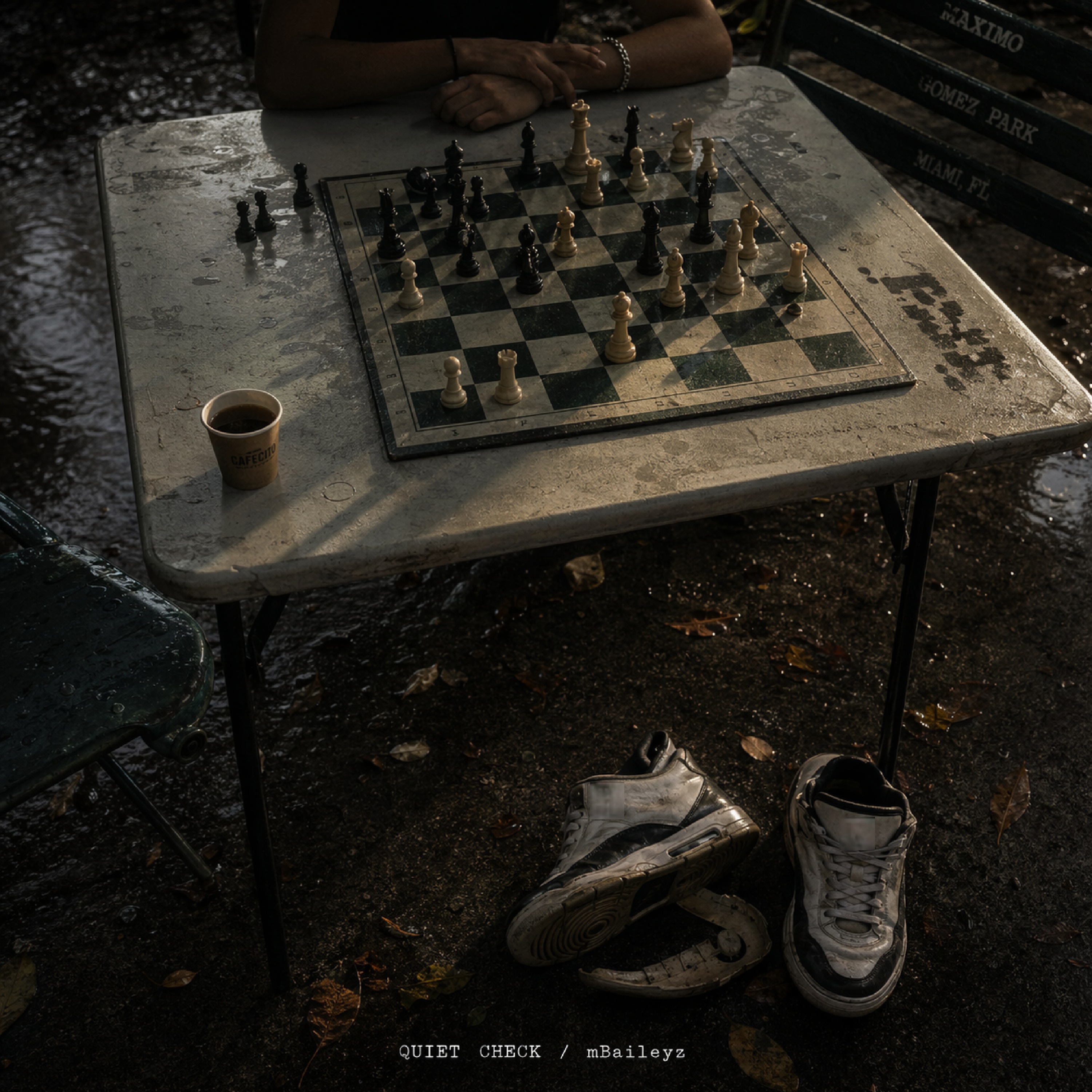 QUIET CHECK artwork