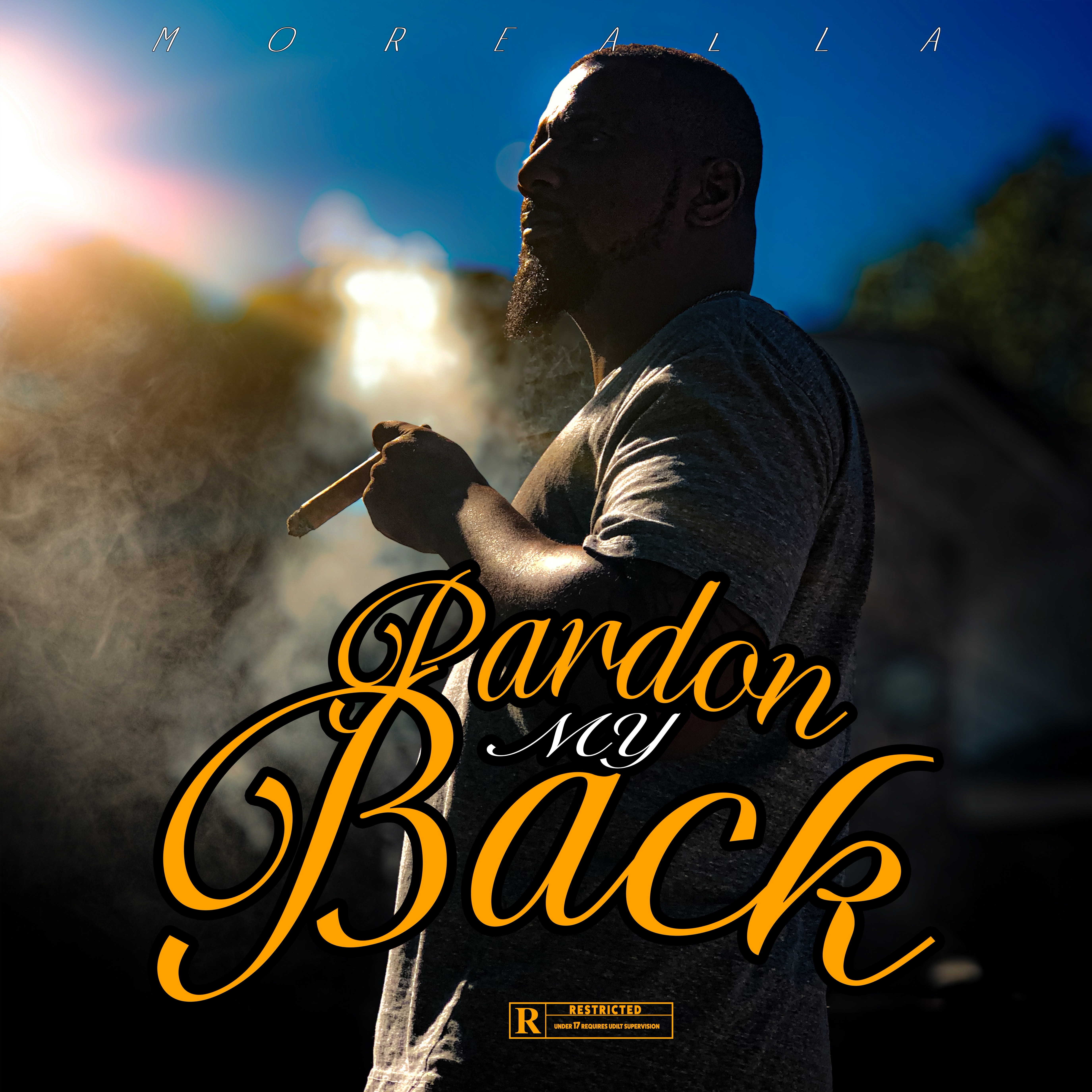Pardon My Back by Morealla cover art