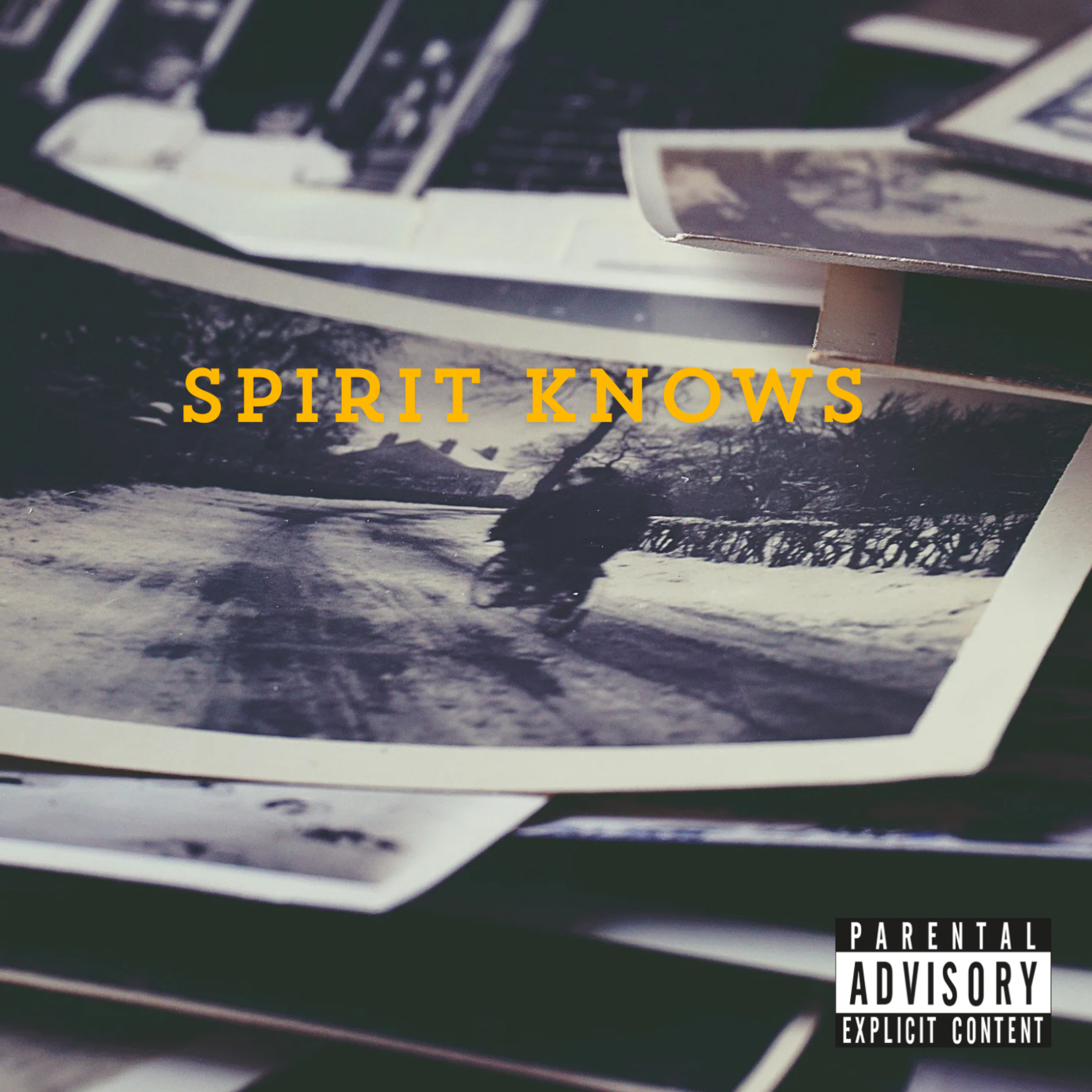 Spirit Knows by Laylow Dee cover art
