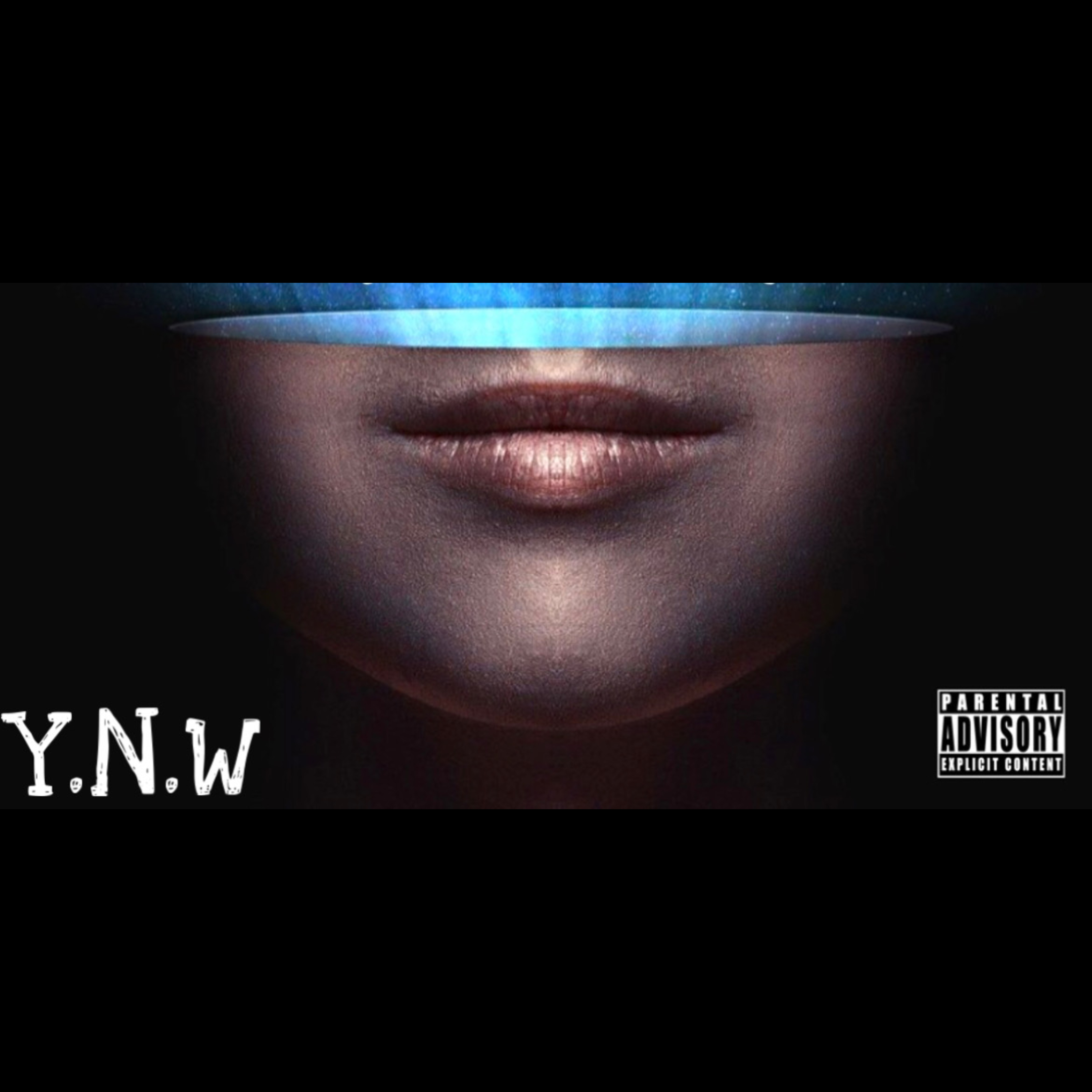 Young Nigga World artwork