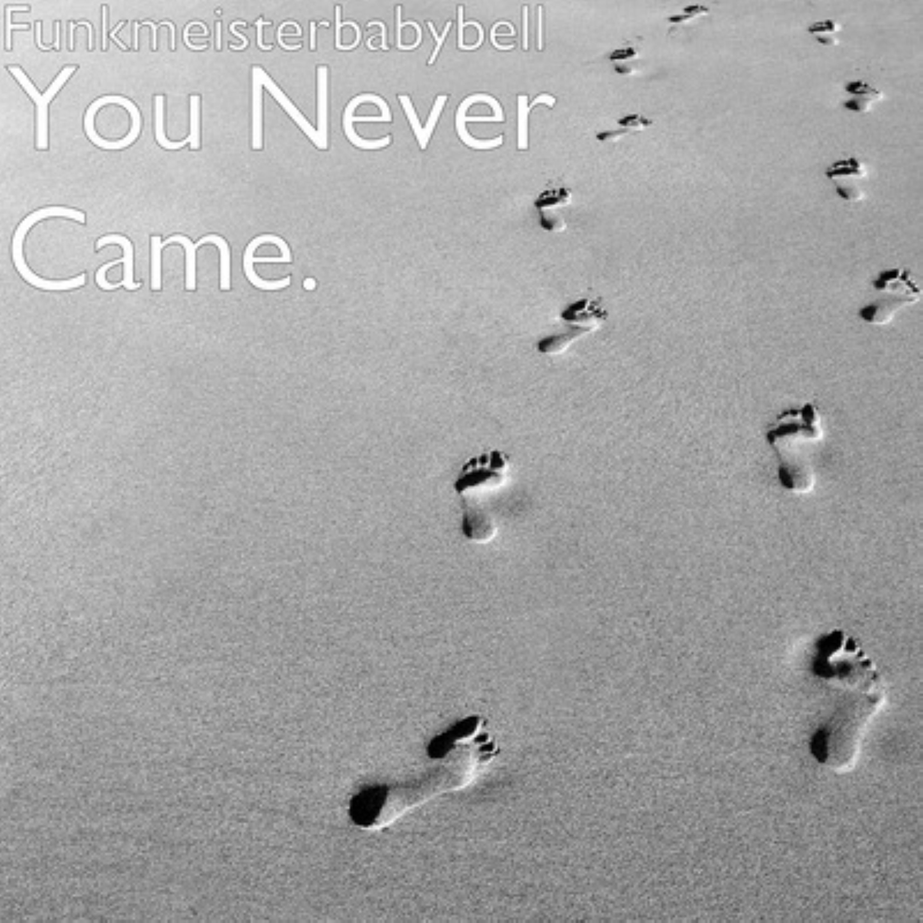 You Never Came artwork