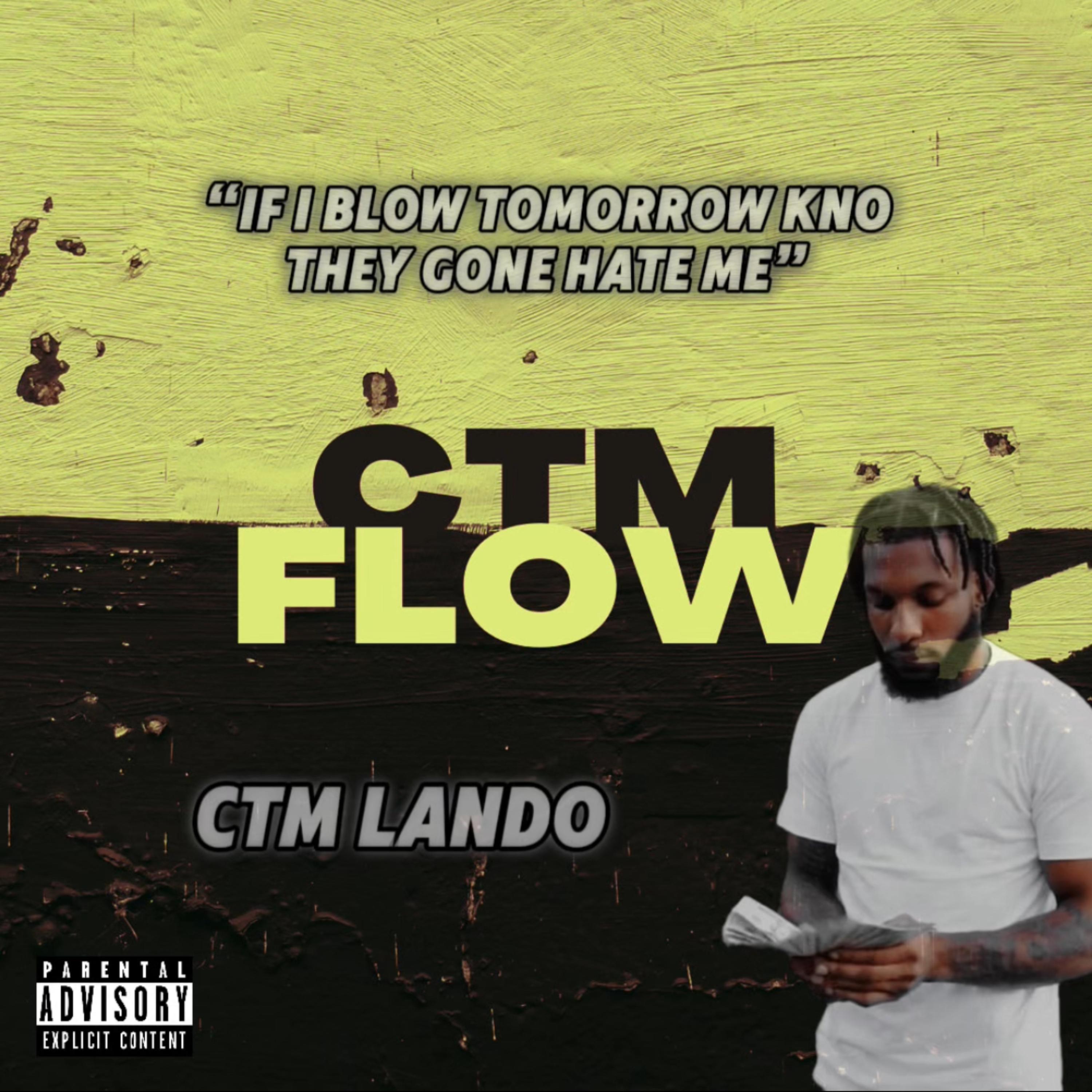 CTM Flow artwork