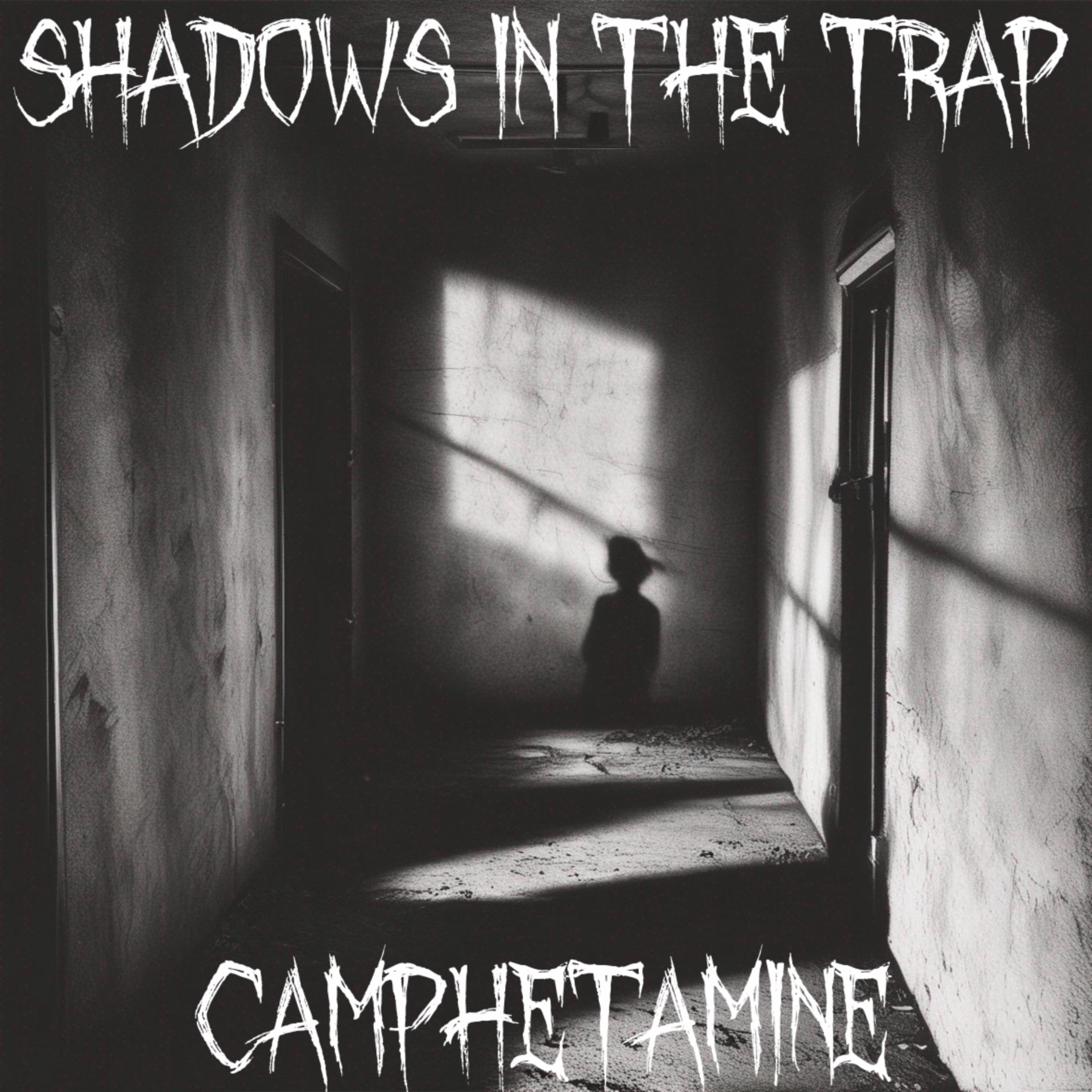 Shadows In The Trap artwork
