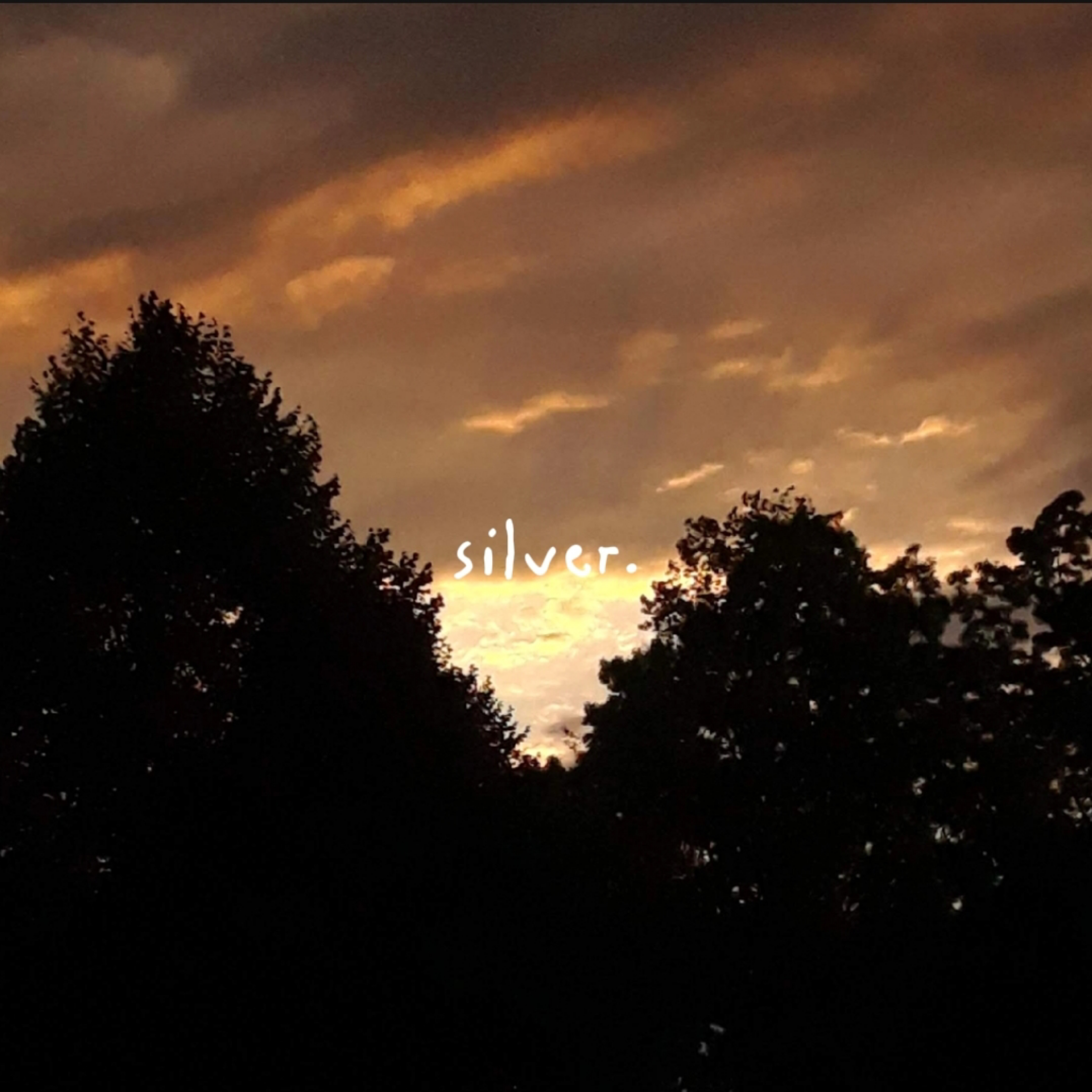 silver. artwork