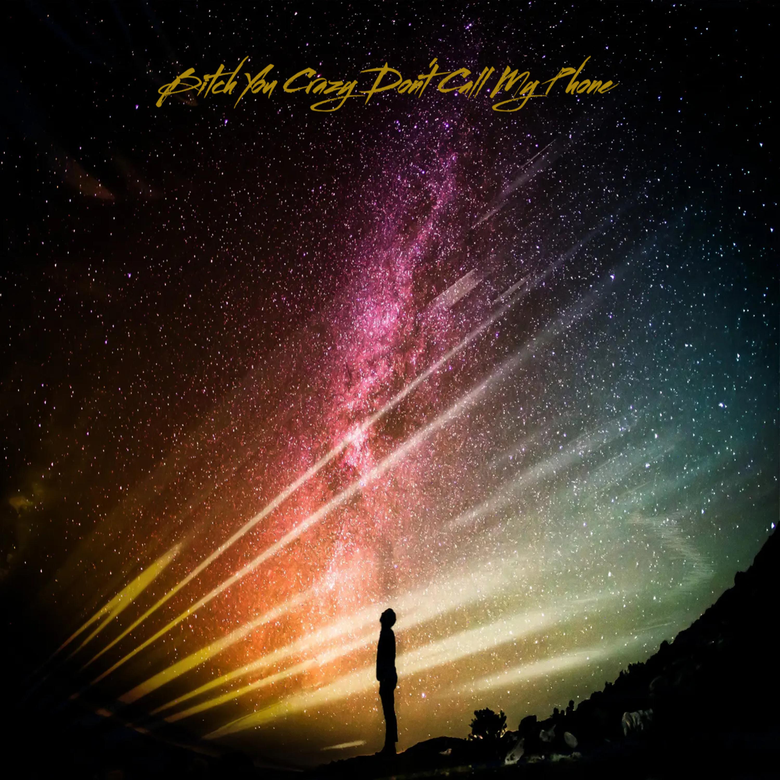 Bitch You Crazy Dont Call My Phone artwork