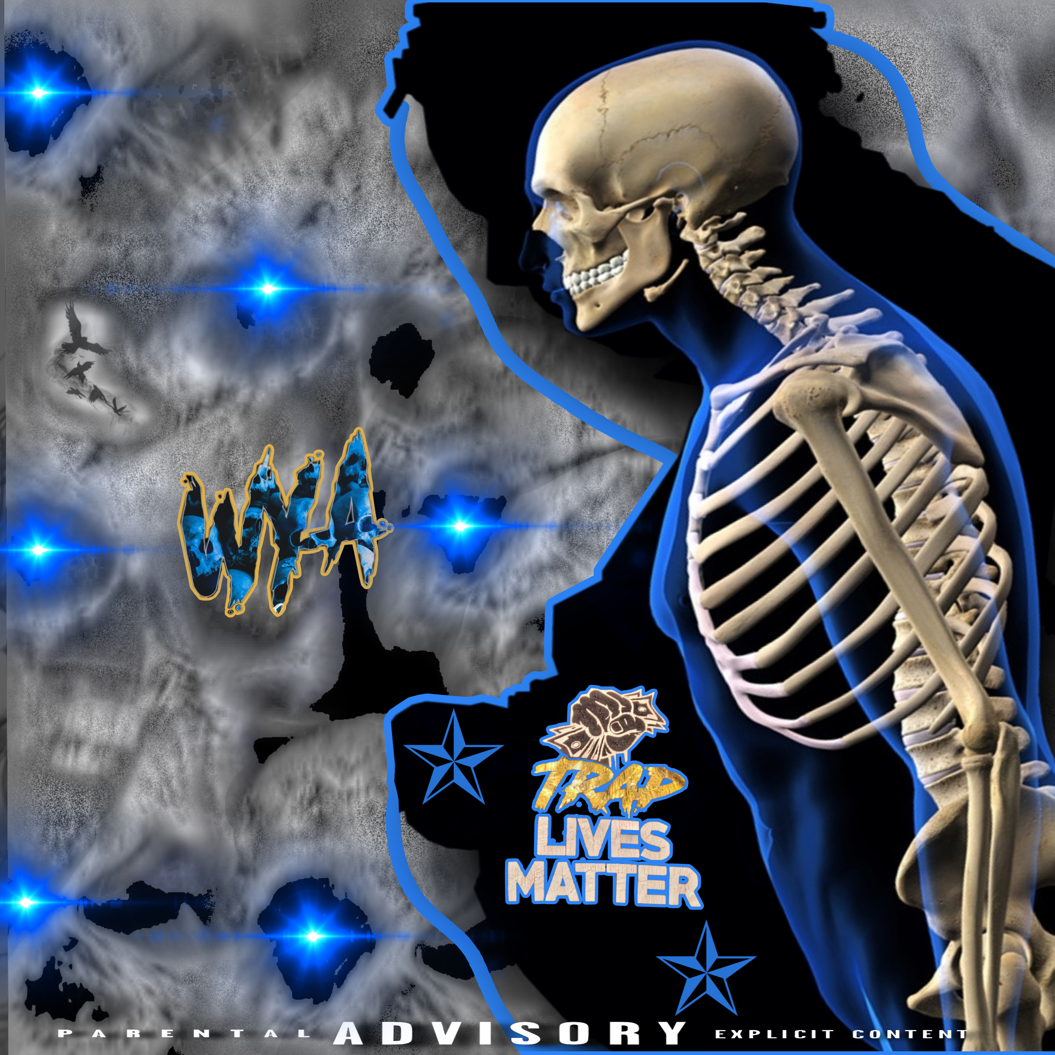 Trap Lives Matter artwork