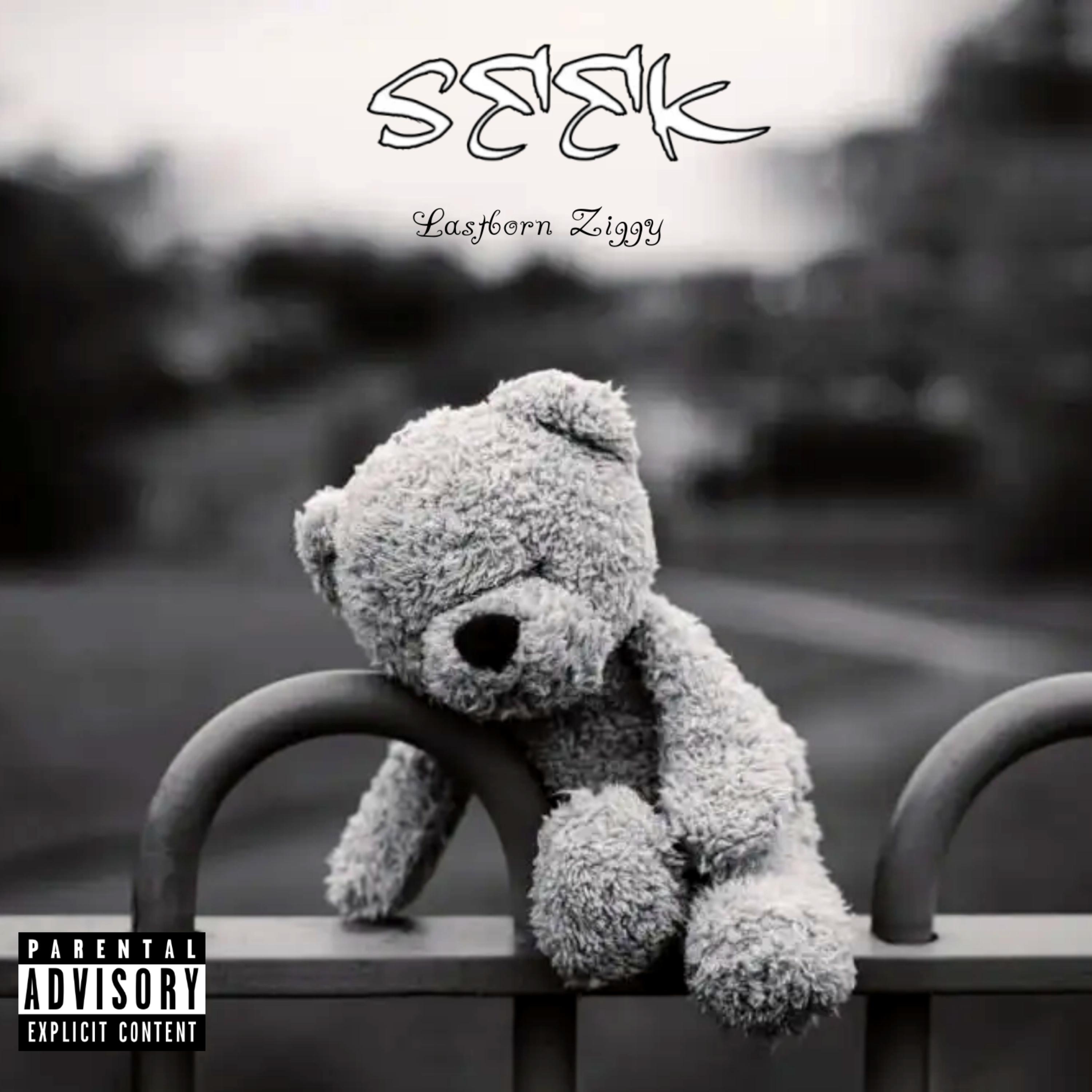 Seek artwork