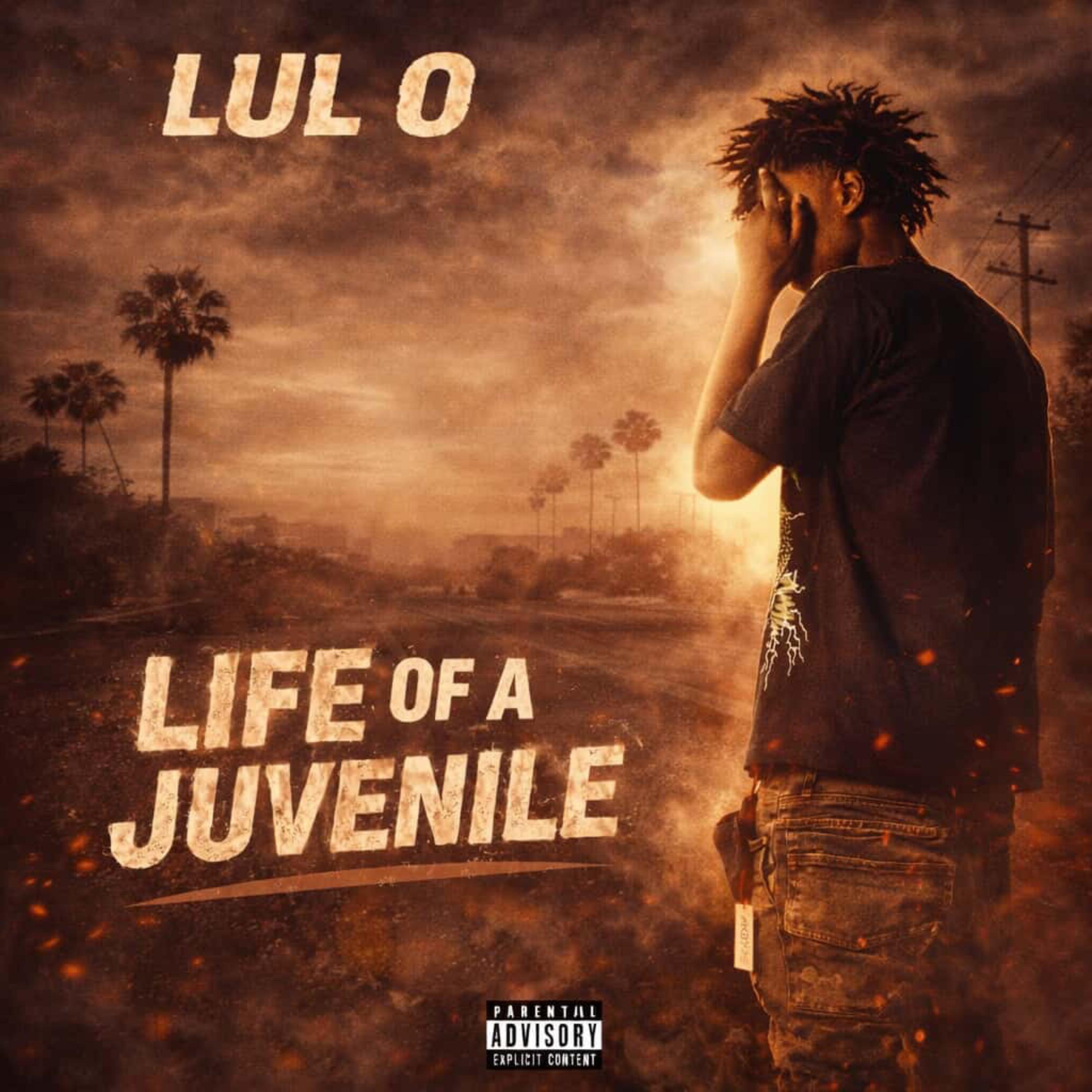 Life Of A Junvenile artwork