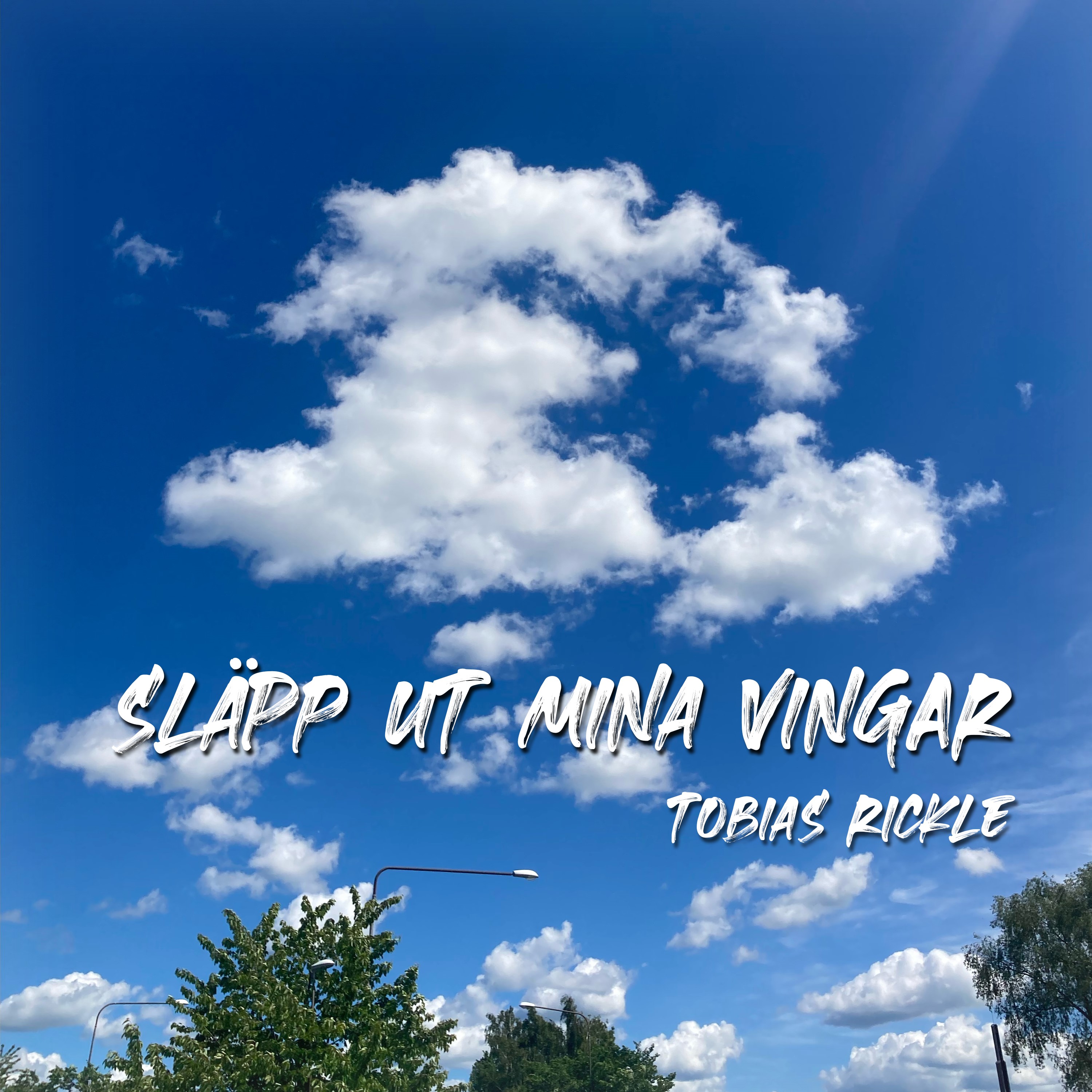 Släpp ut mina vingar artwork