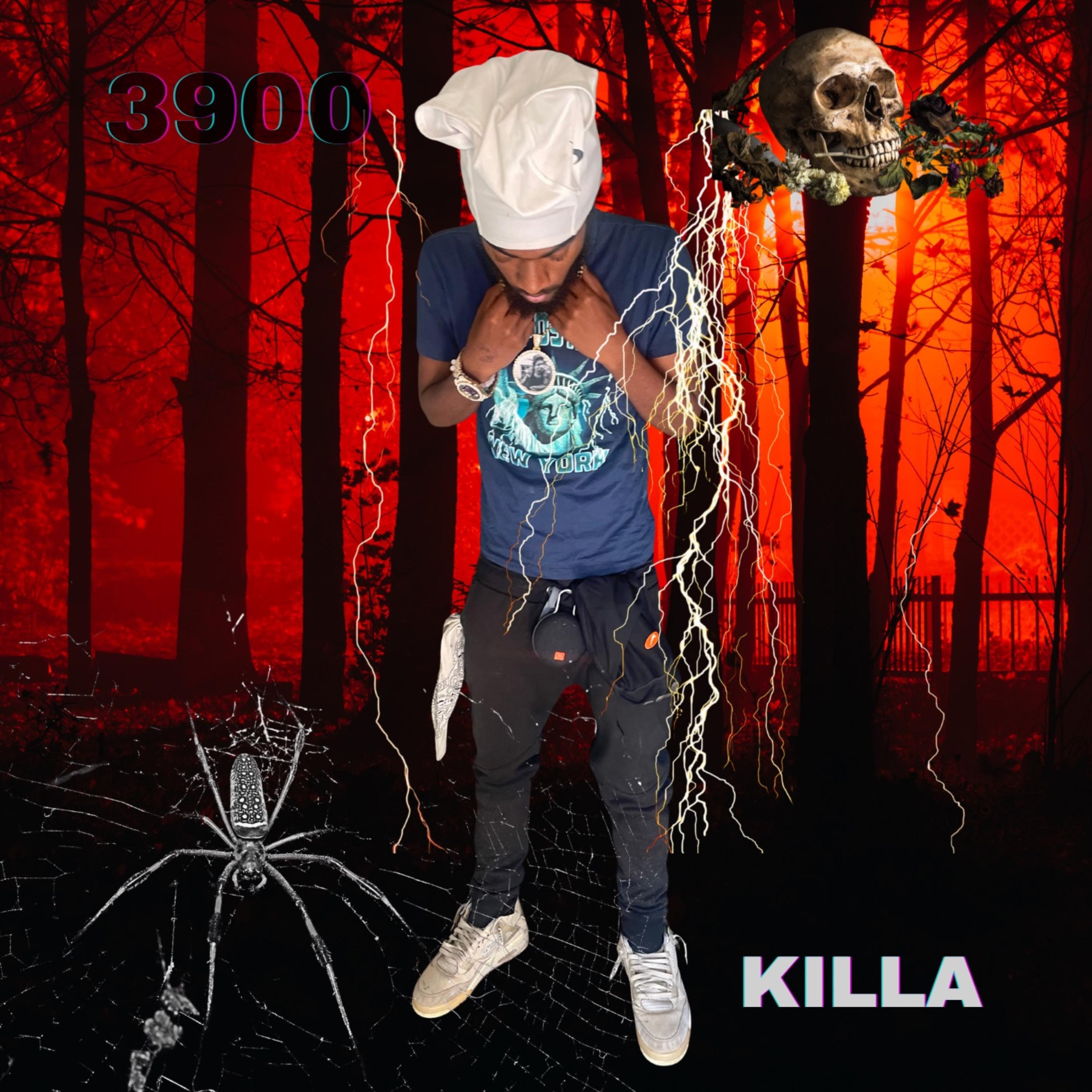 3900 artwork