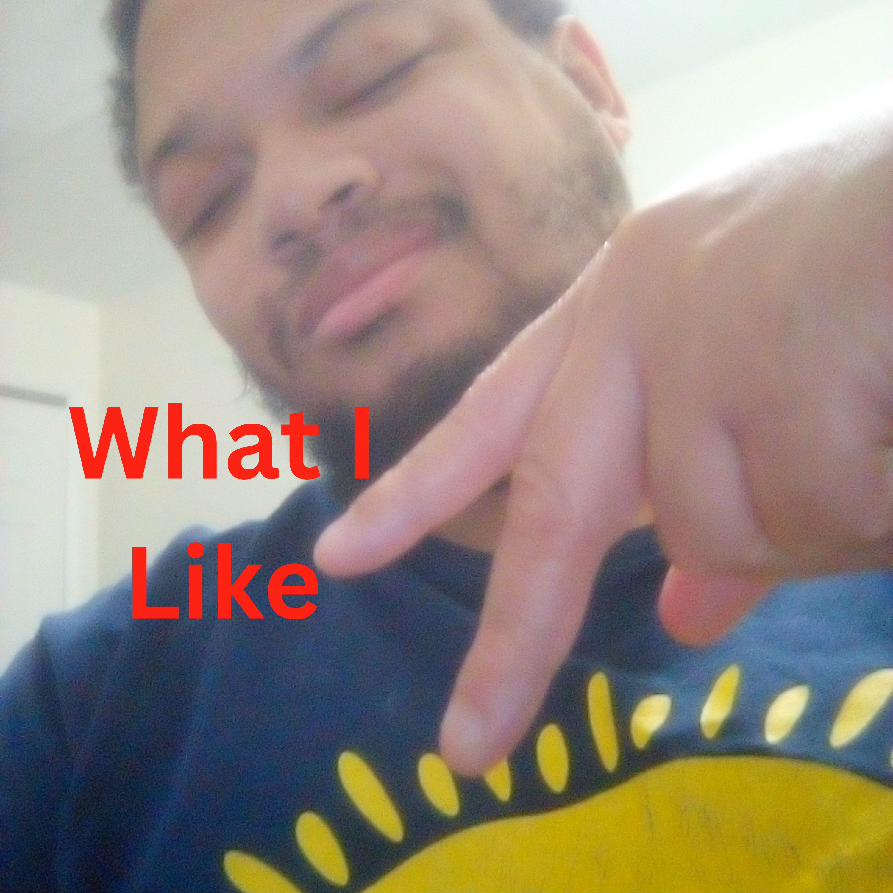 What I Like by Javon St. John cover art
