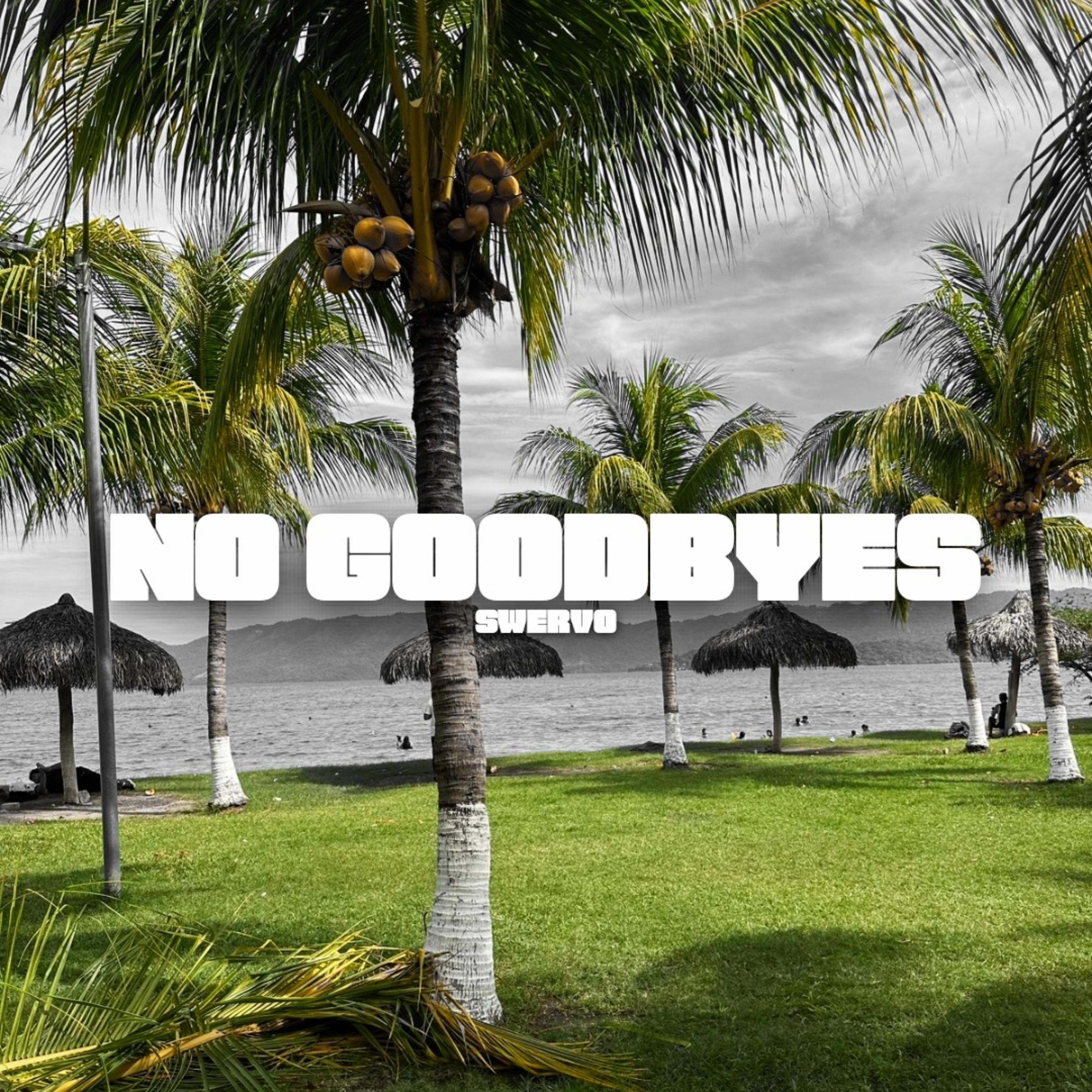 No Goodbyes artwork