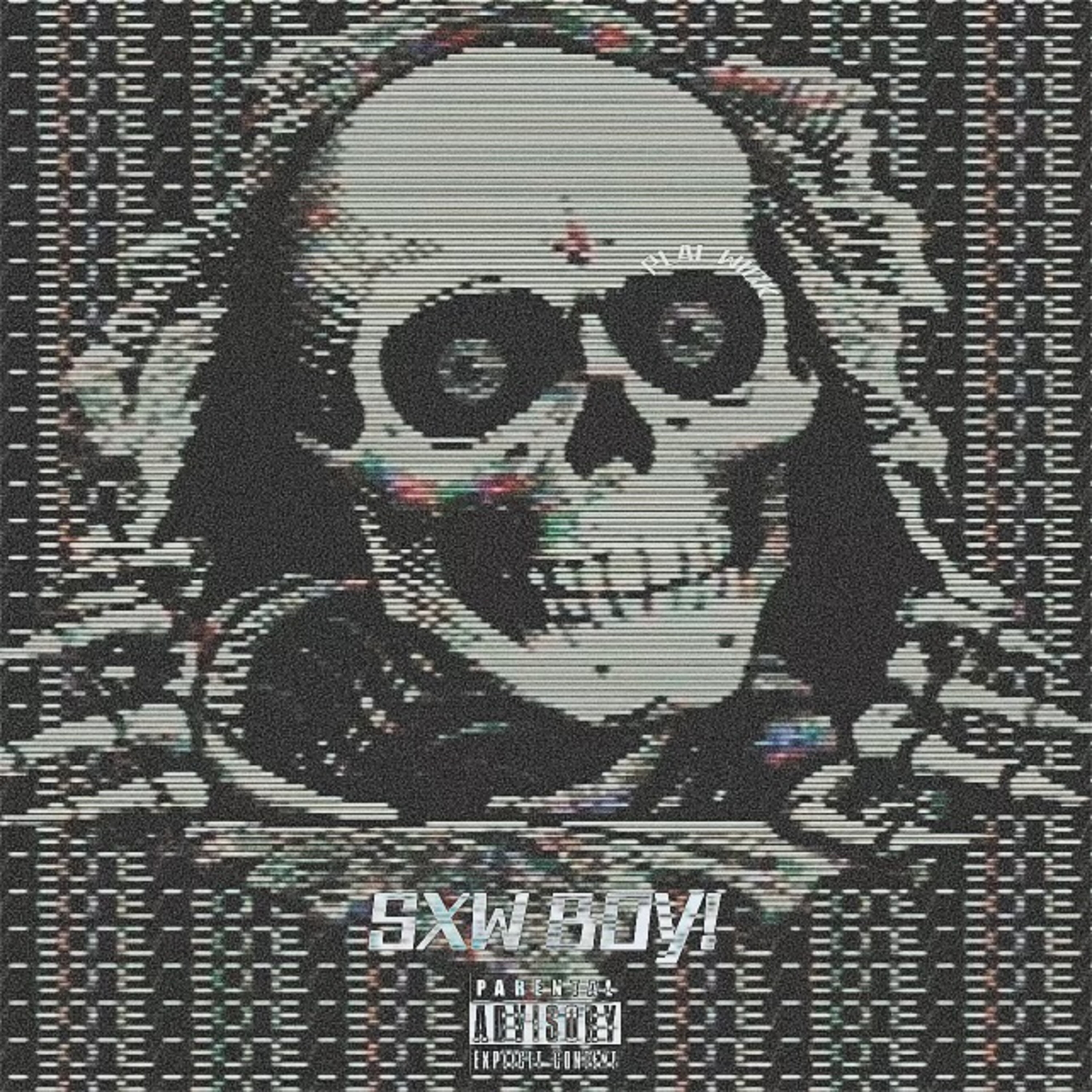 S&W BOY! artwork