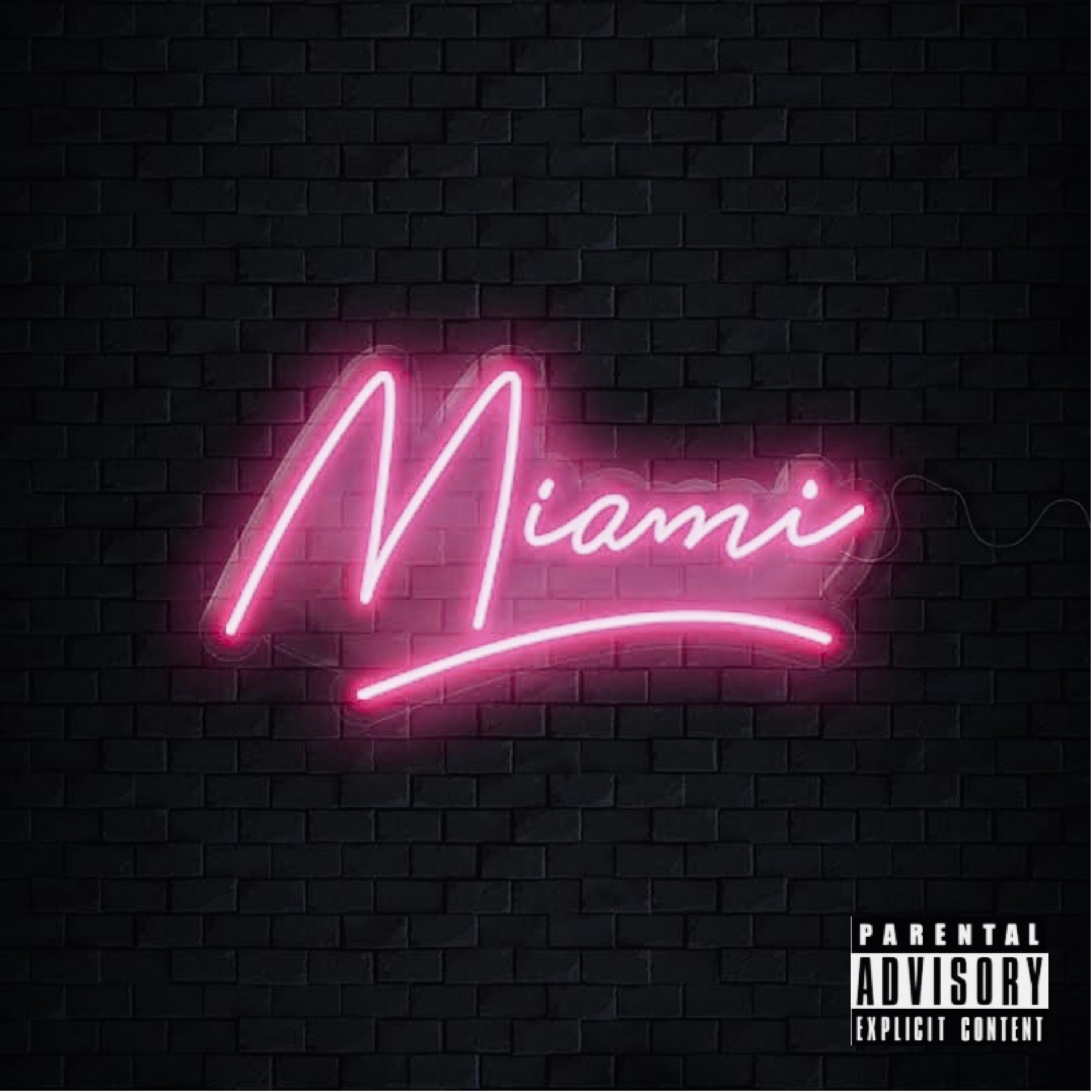 Miami artwork