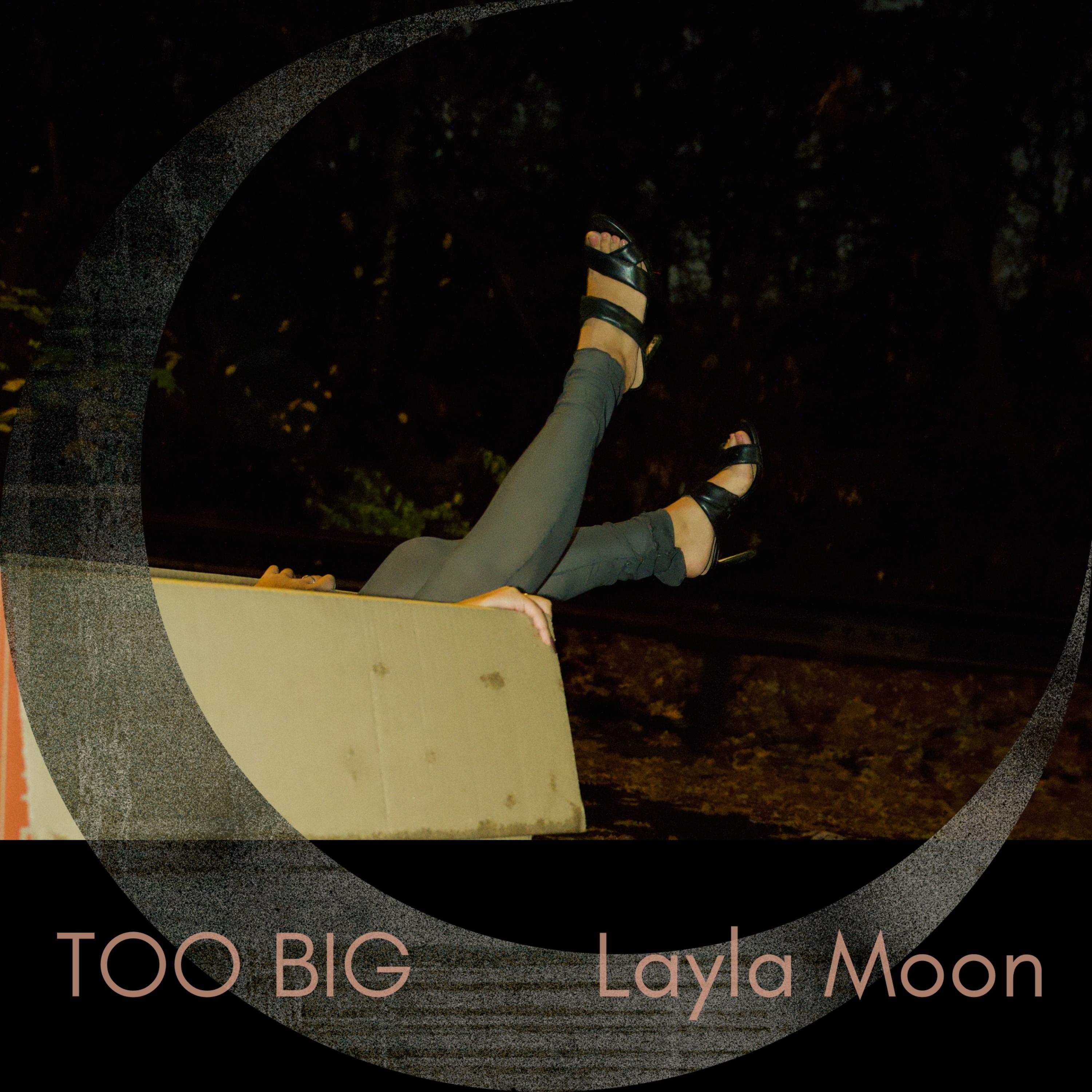 Too Big by Layla Moon cover art